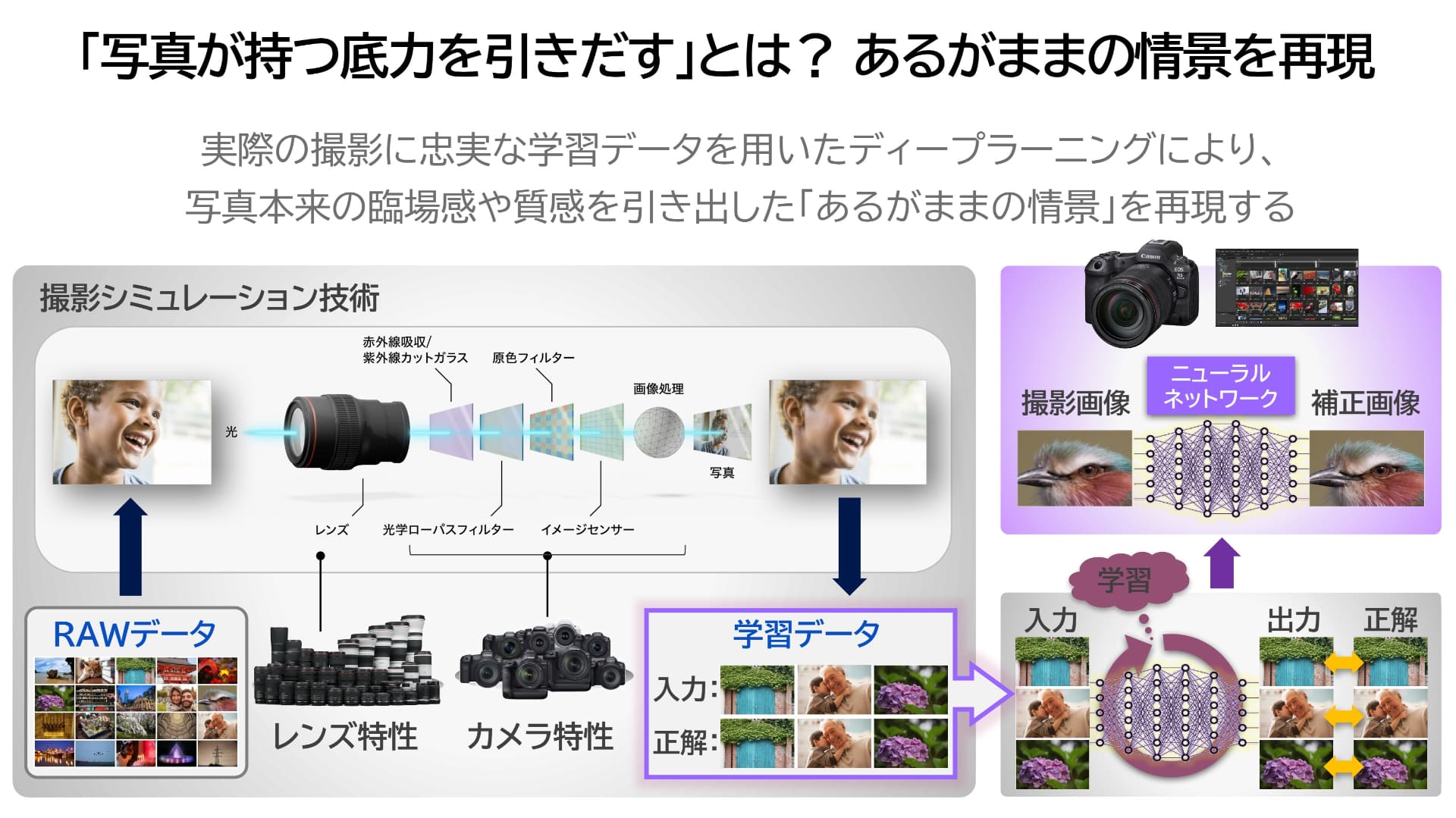 EOS R1/EOS R5 Mark IIの画像処理におけるディープラーニング画像処理技術のメカニズム