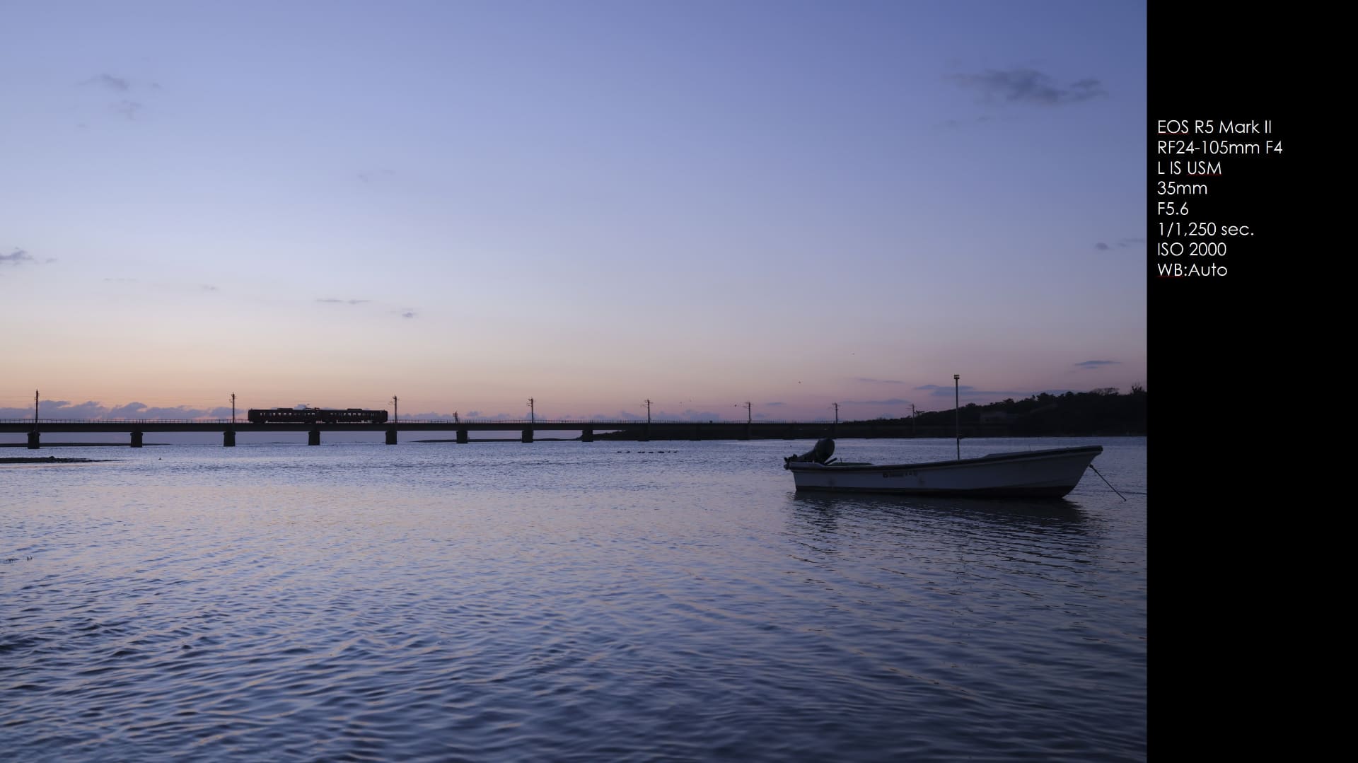 実は構図の中のごく一部をトリミングしたもの