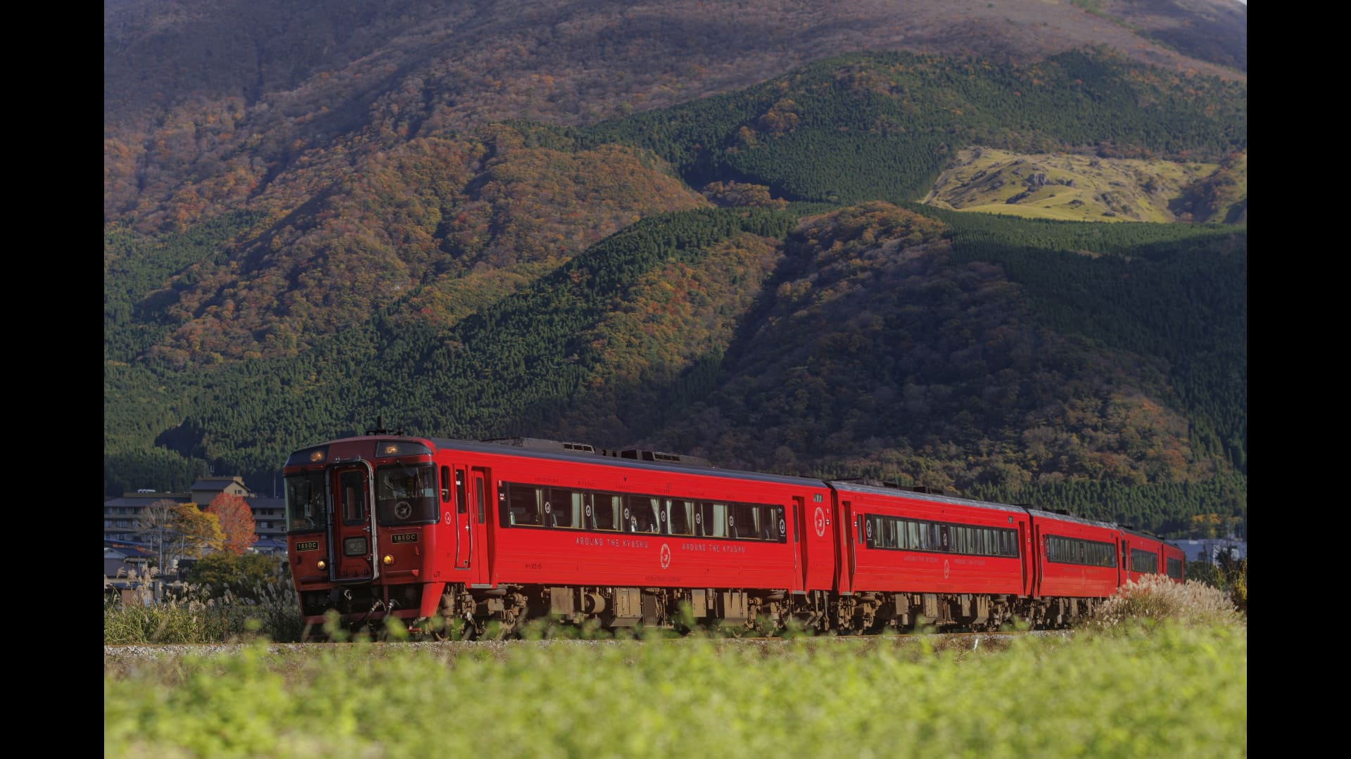 特急ゆふを50mmレンズで撮影した作品