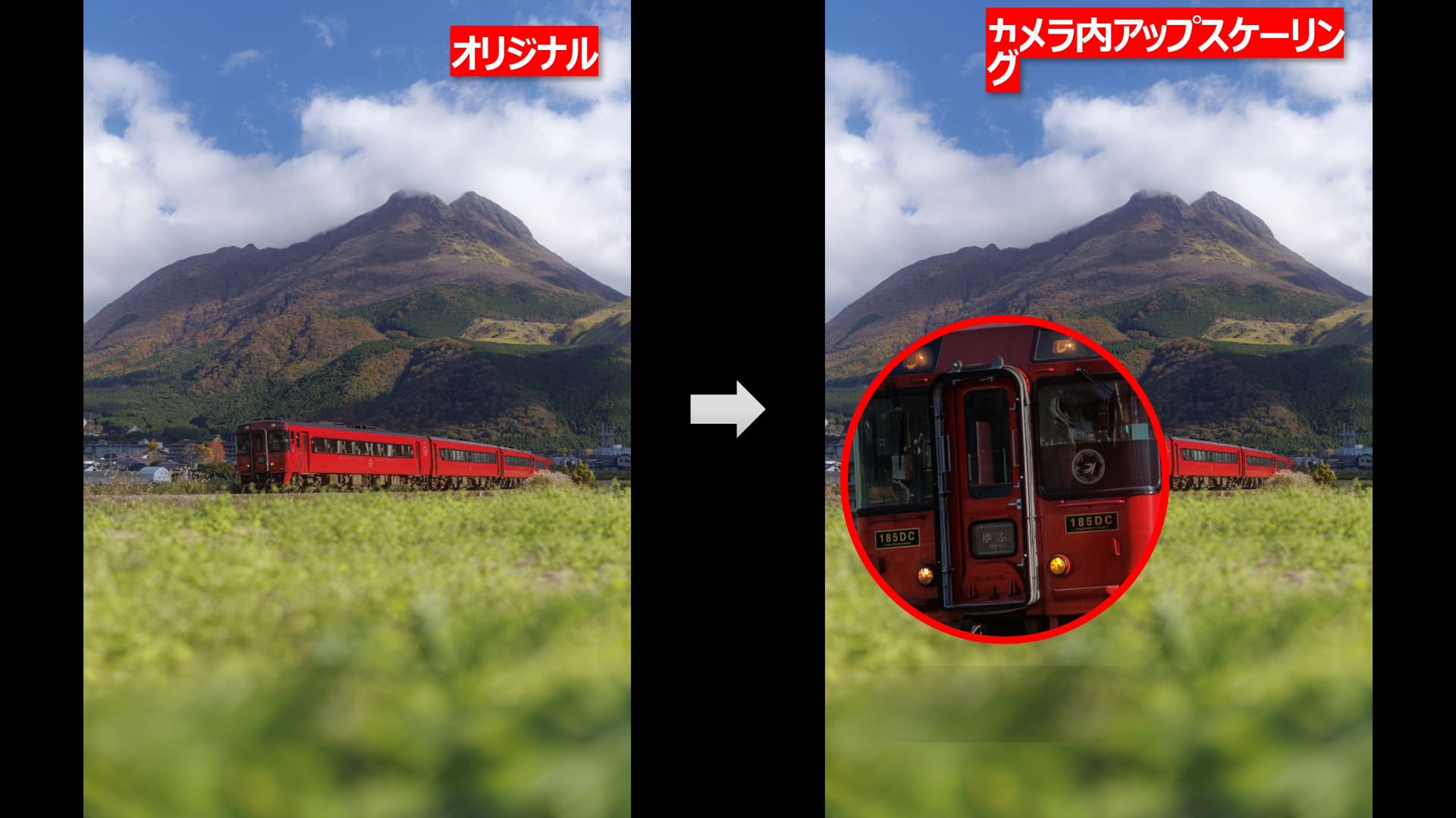 アップスケールによって縦位置から切り出した横位置の写真だった