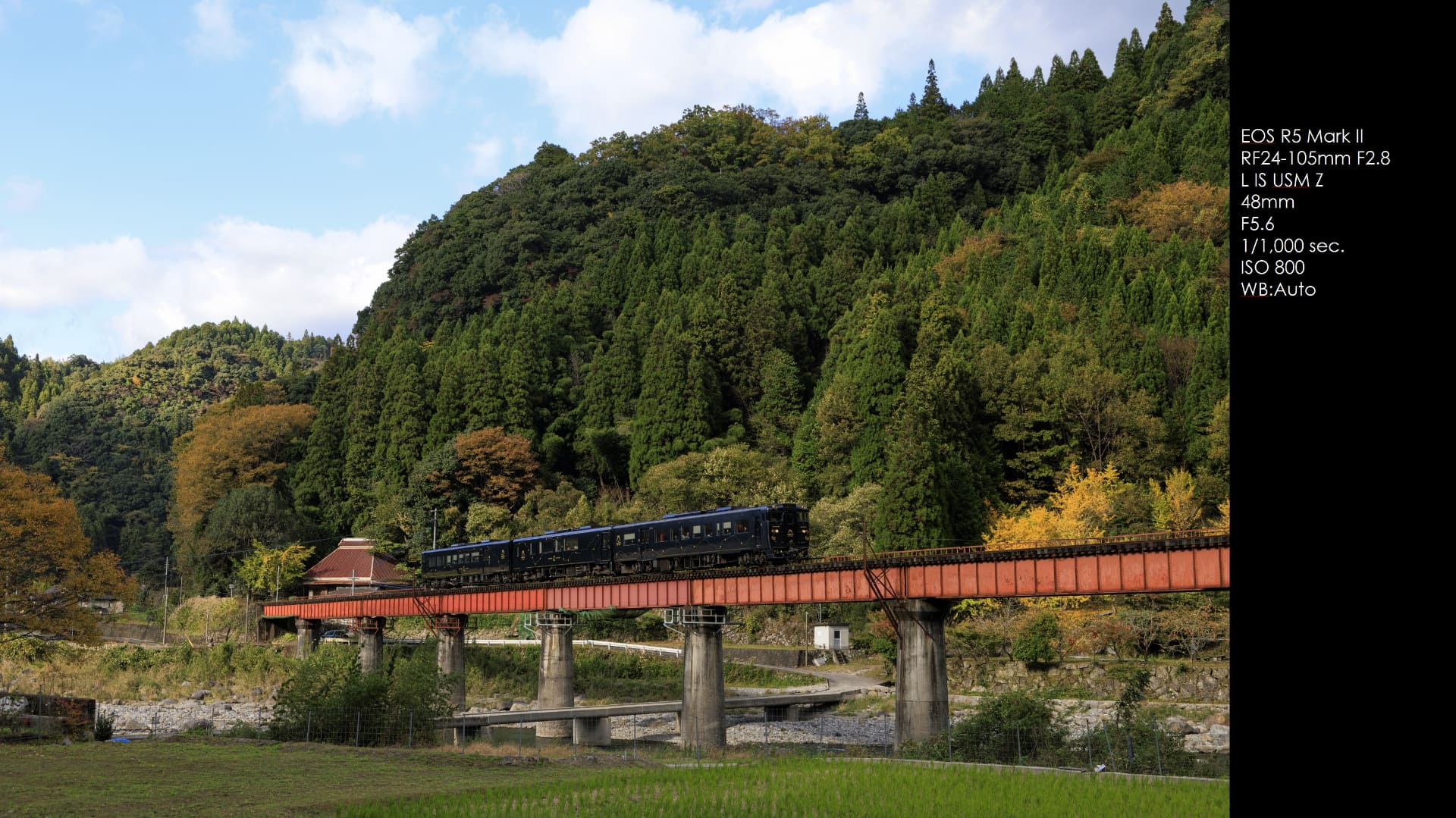 かんぱち・いちろくをとらえた作品。これにニューラルネットワークノイズ低減&カメラ内アップスケーリングを適用する