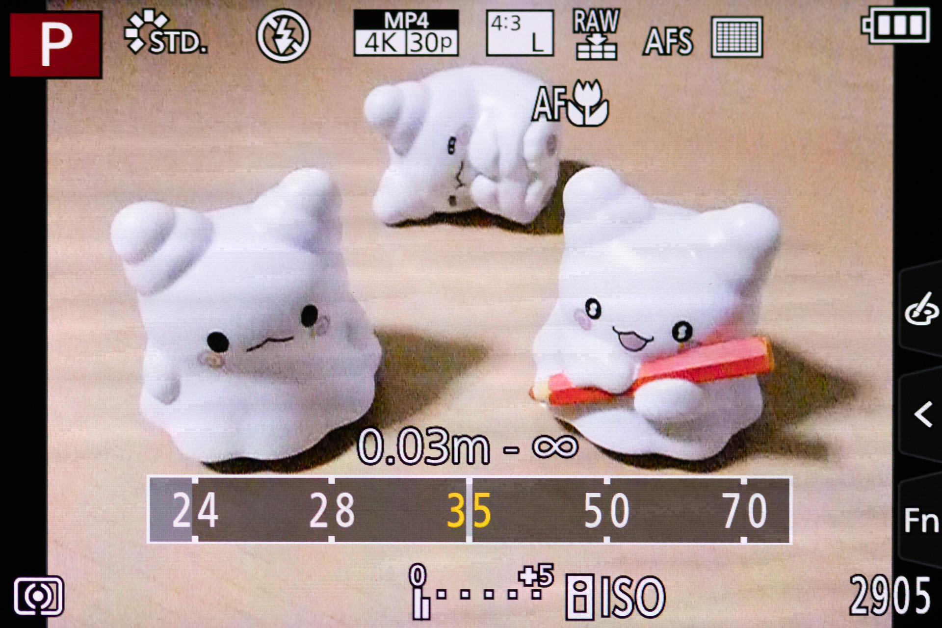 ステップズームに設定したところ。24/28/35/50/70mm……といった具合にズームがストップする