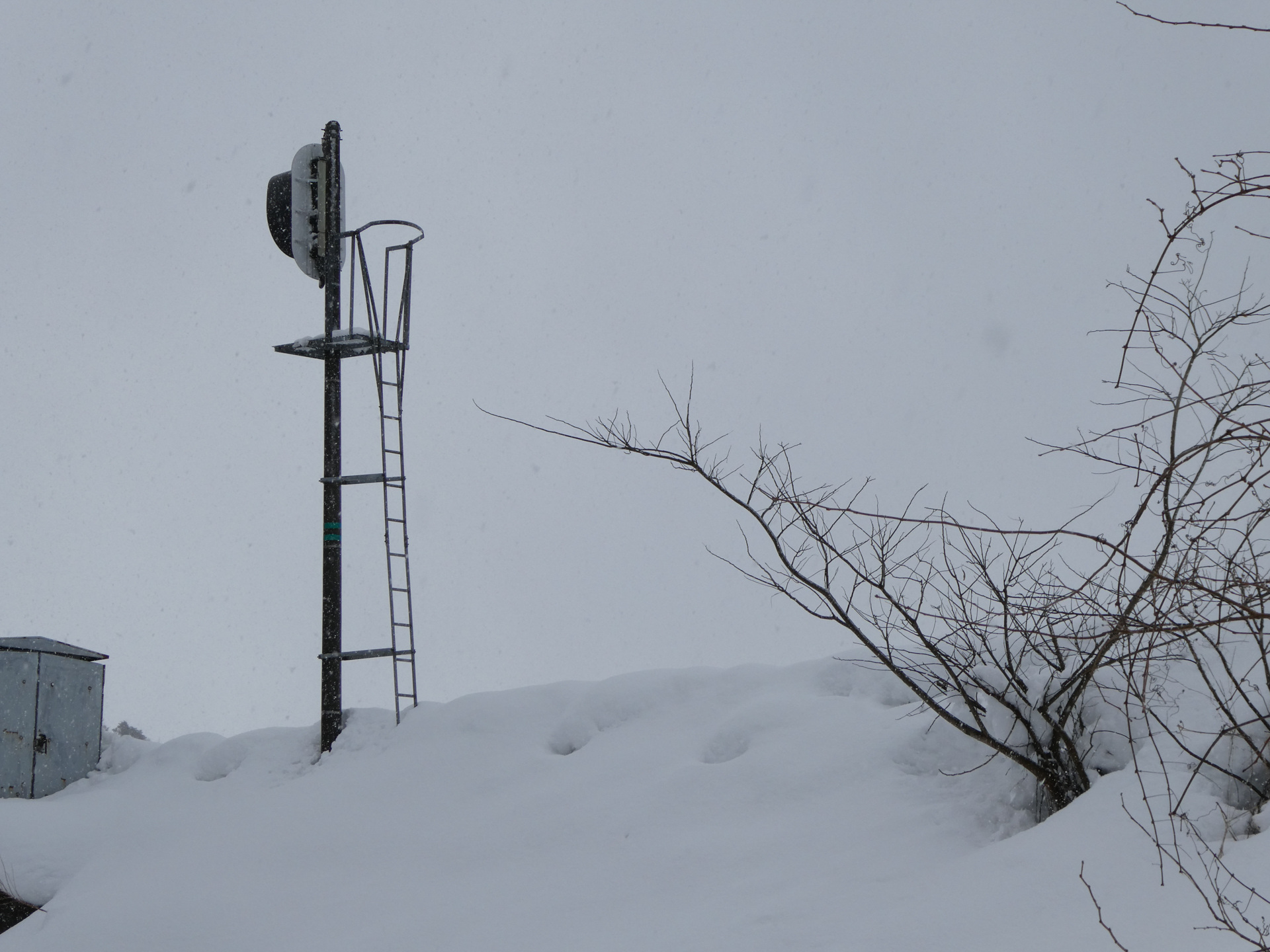 90mm相当／プログラムAE（1/500秒、F4.9、+0.7EV）／ISO 80