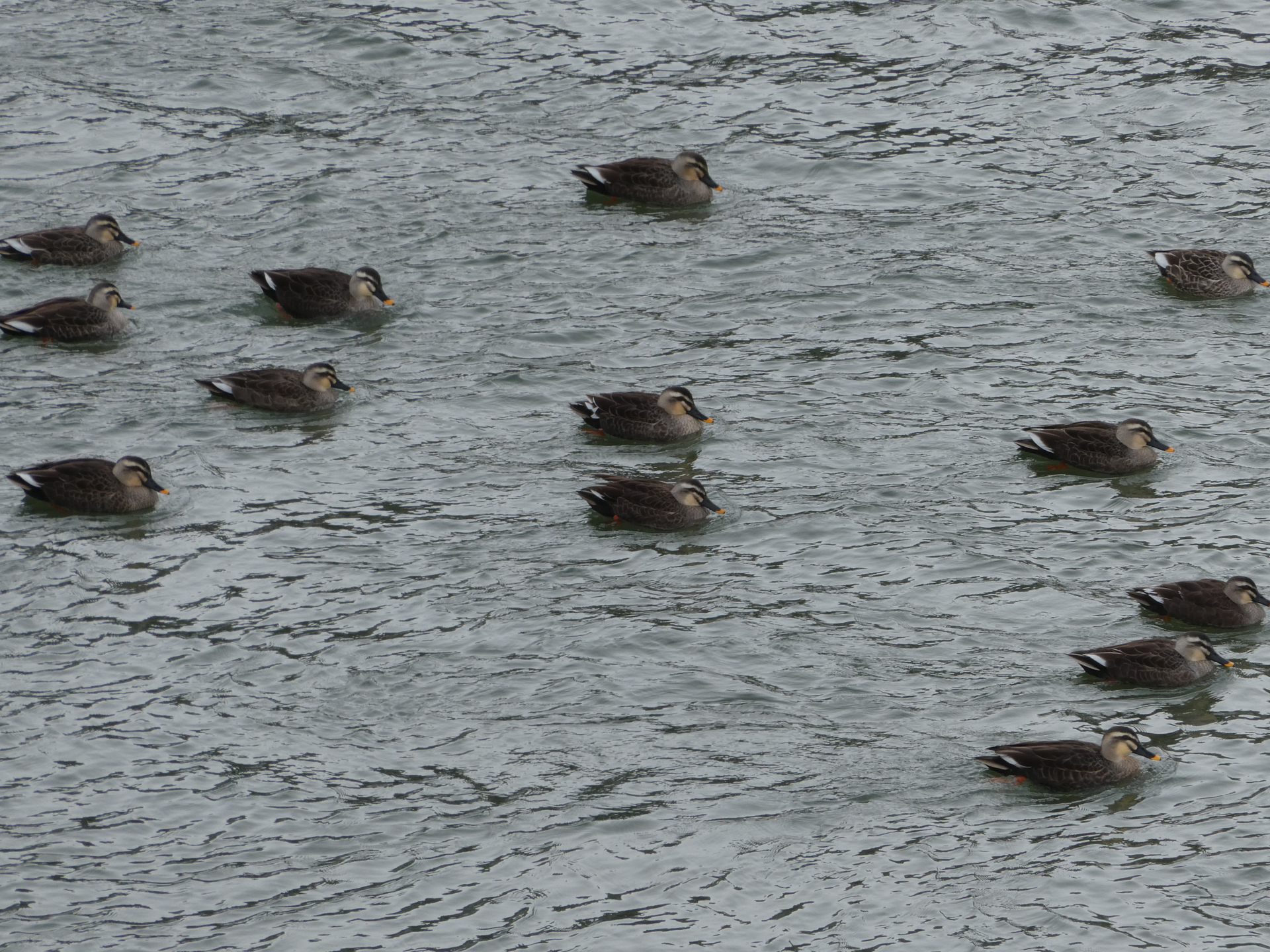 720mm相当／プログラムAE（1/320秒、F6.4、0EV）／ISO 80