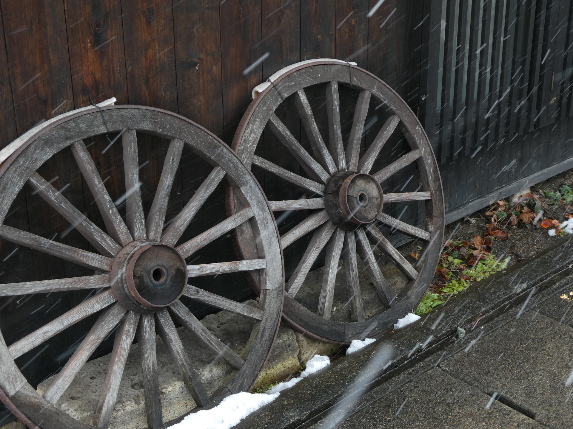 50mm相当／プログラムAE（1/100秒、F4.1、-1EV）／ISO 80