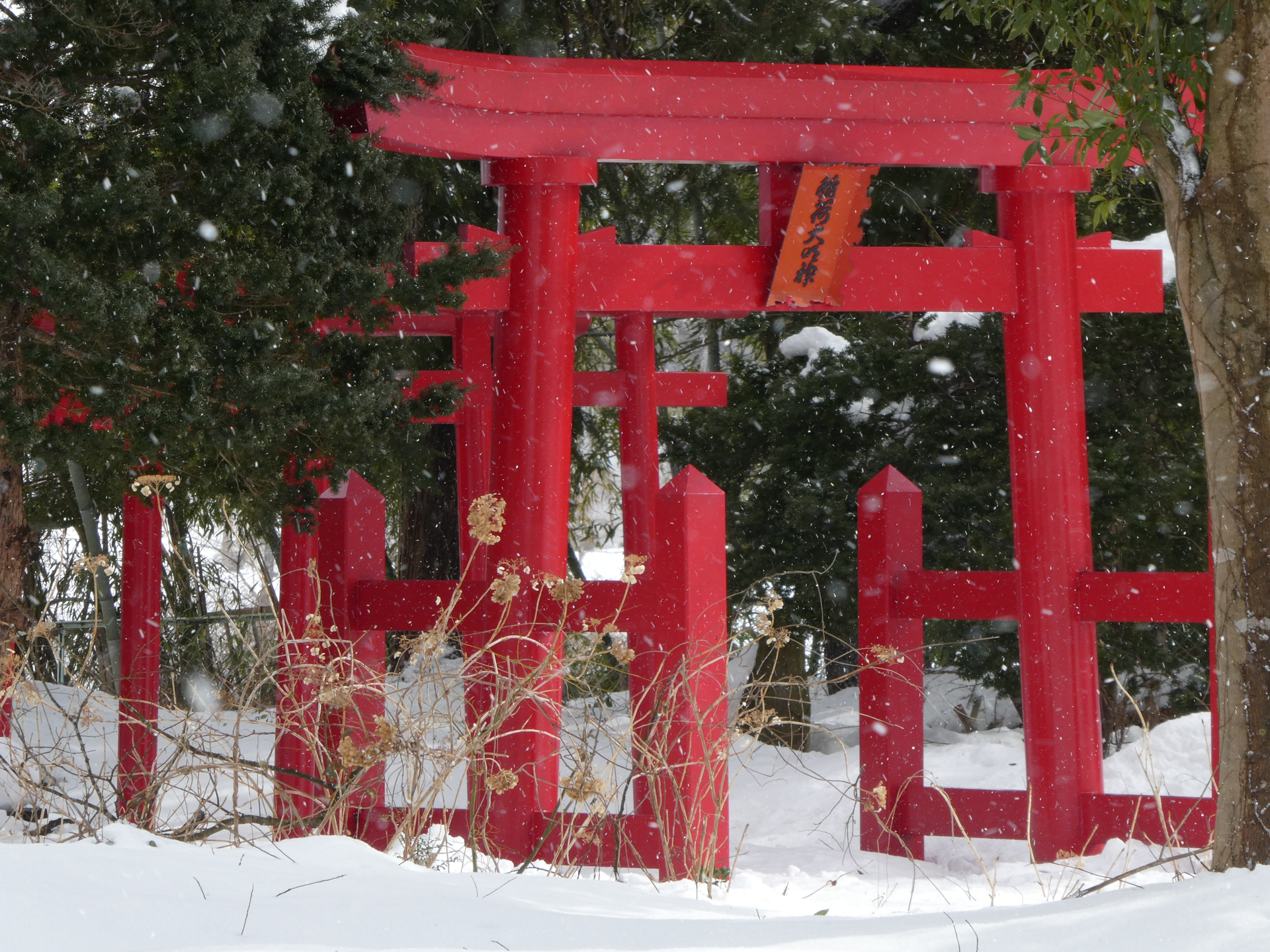 250mm相当／プログラムAE（1/250秒、F5.6、-1.3EV）／ISO 80