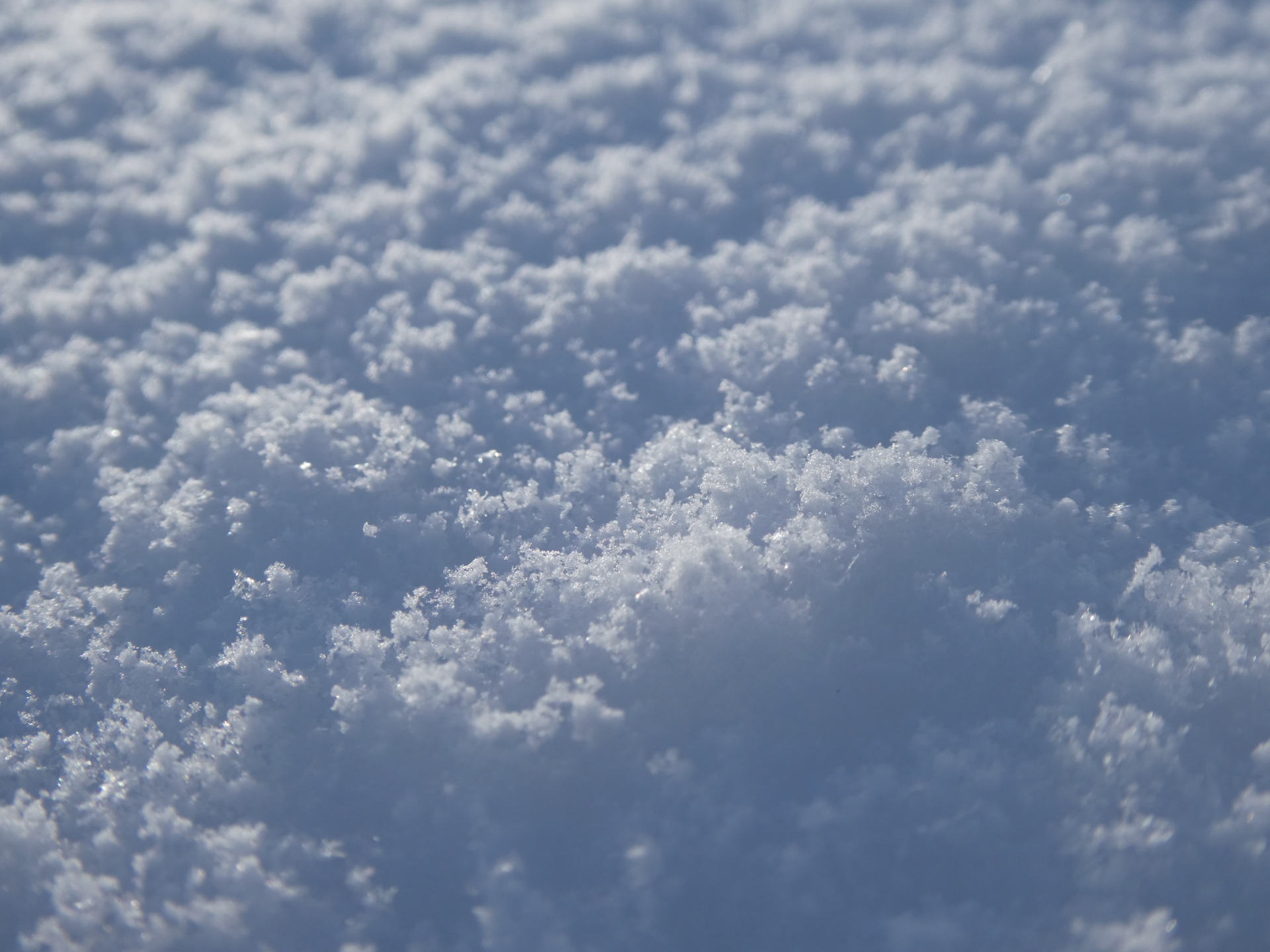 50mm相当／プログラムAE（1/800秒、F4.5、0EV）／ISO 80