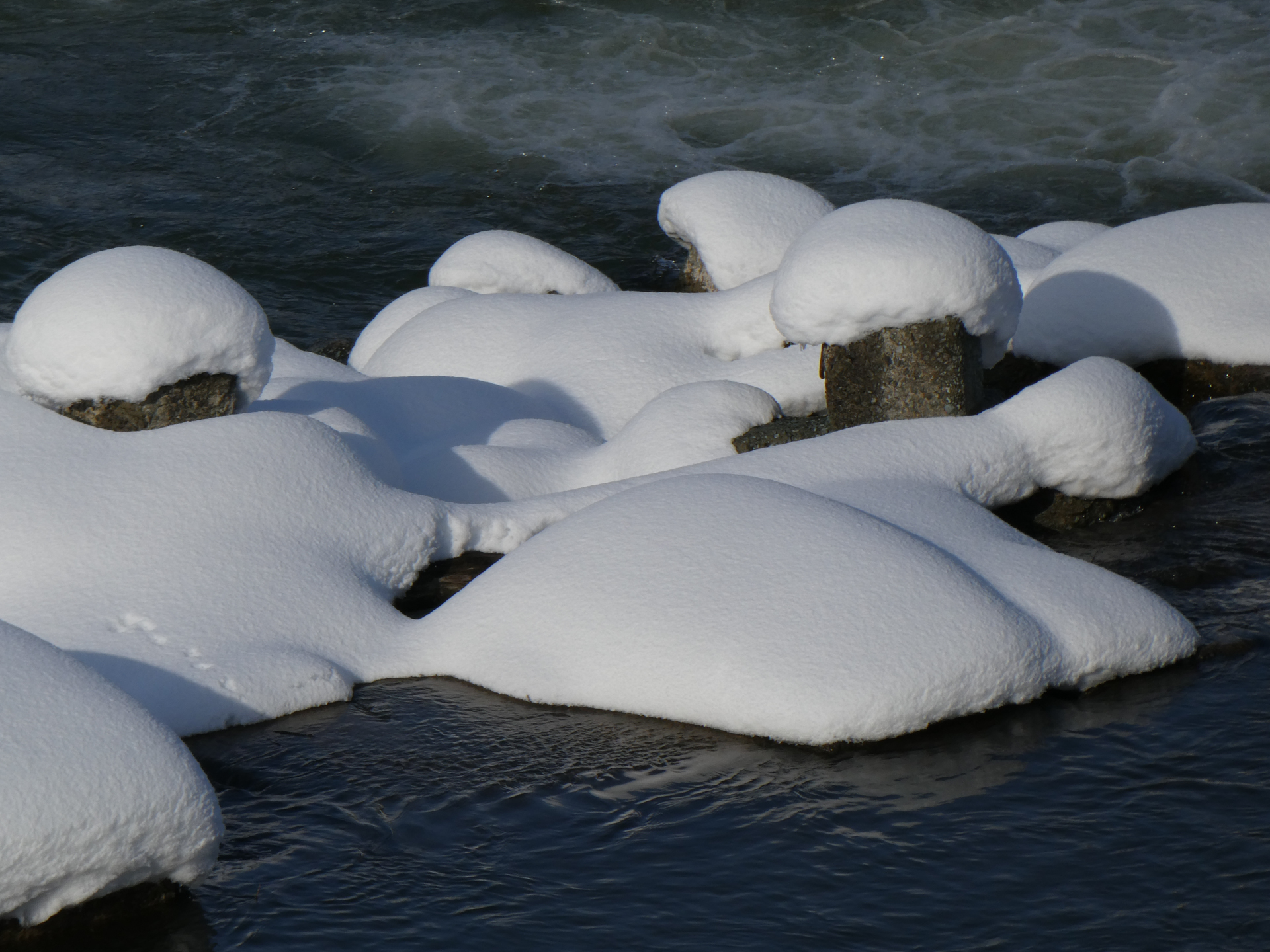 600mm相当／プログラムAE（1/1,000秒、F6.3、-0.3EV）／ISO 80
