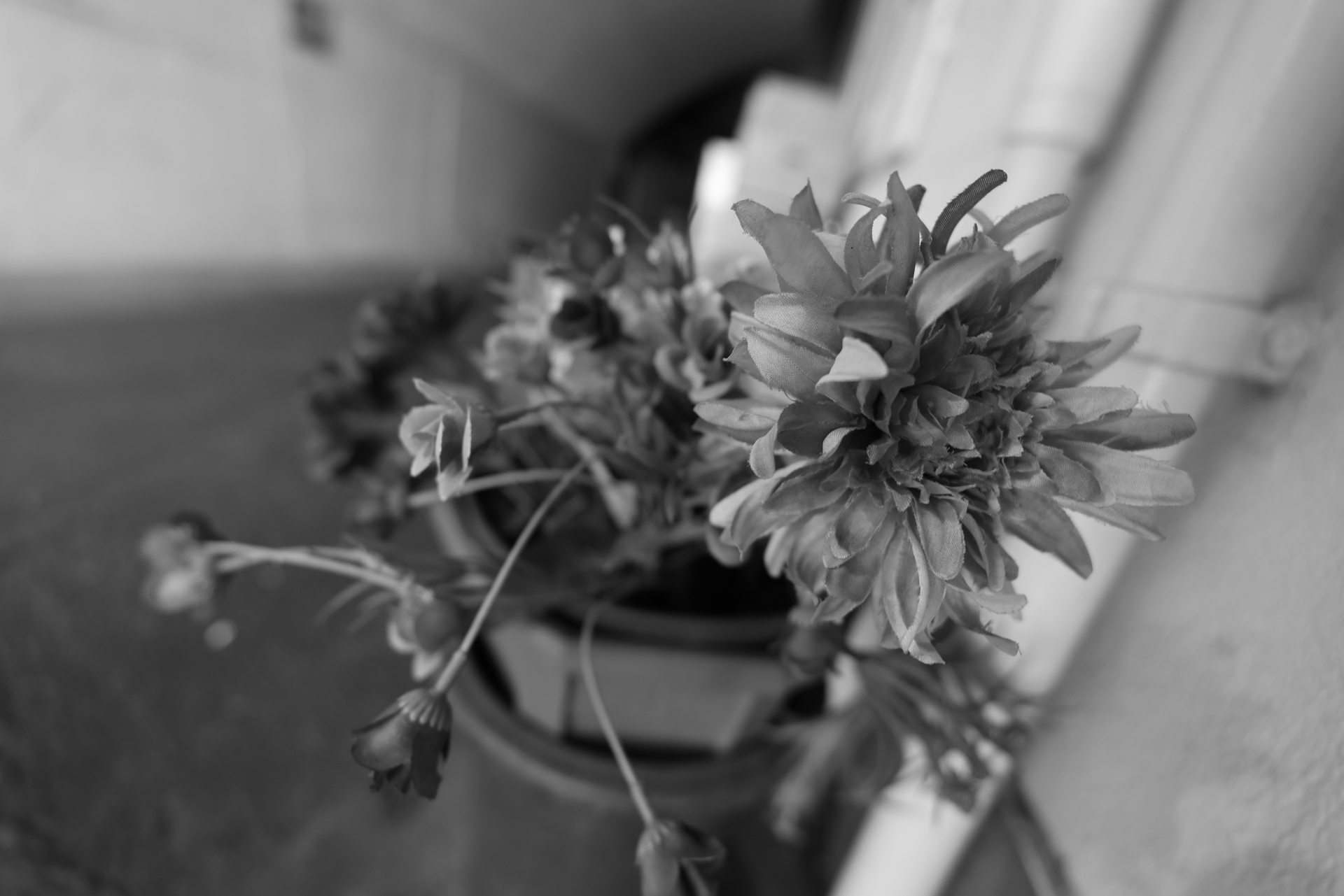 キヤノン EOS R5 Mark II／RF16-28mm F2.8 IS STM／17mm／絞り優先AE（1/30秒、F2.8、−0.3EV）／ISO 400