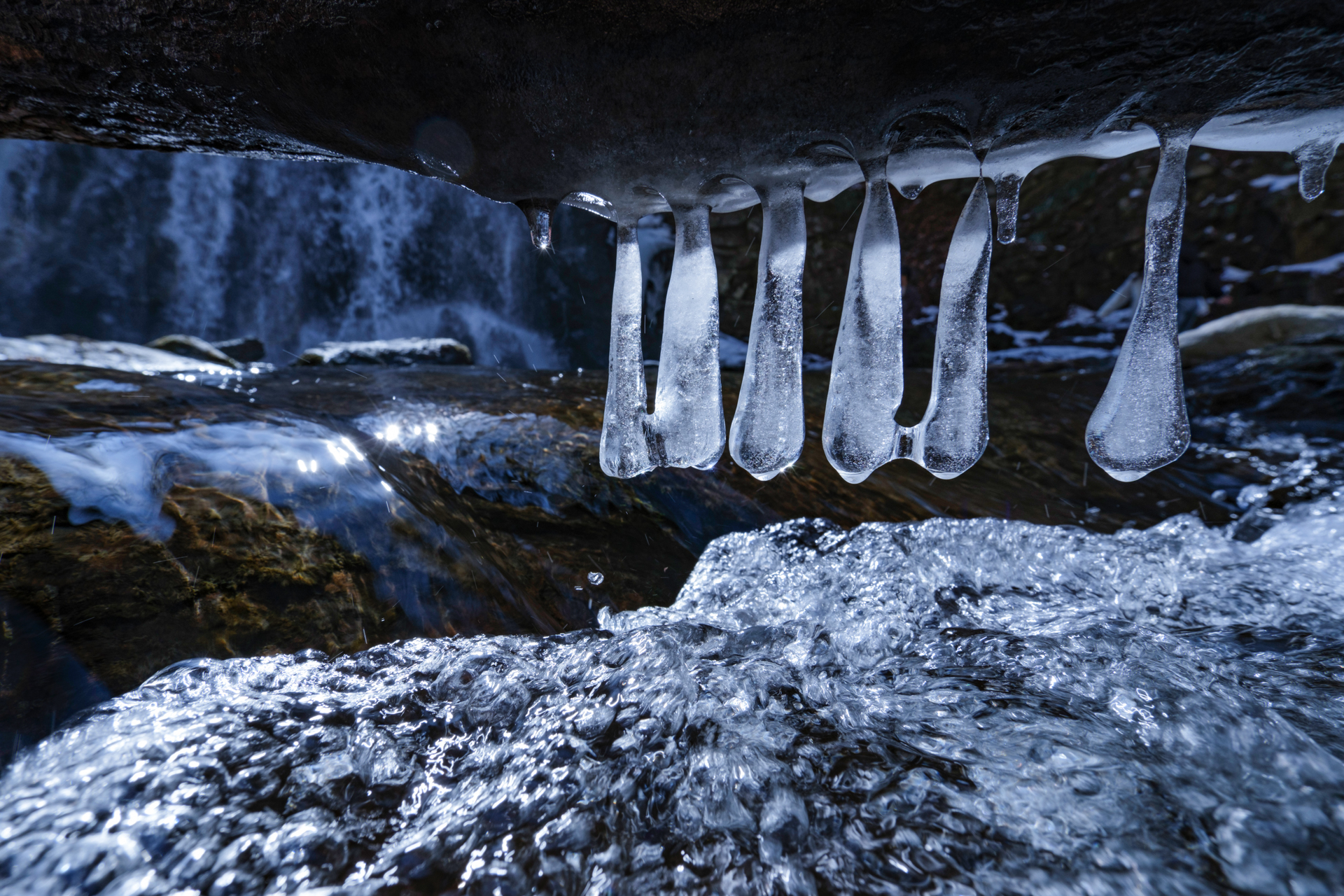 渓流の中にある倒木にしぶき氷が付いていた。長靴を履いて、氷の輝きを引き立てるように逆光方向に回り込んだ。水面ギリギリにカメラを構えて写した<br>富士フイルム X-H2／11mm（16.5mm相当）／絞り優先AE（F8、1/160秒、－1.0EV）／ISO 200／WB：3,700K