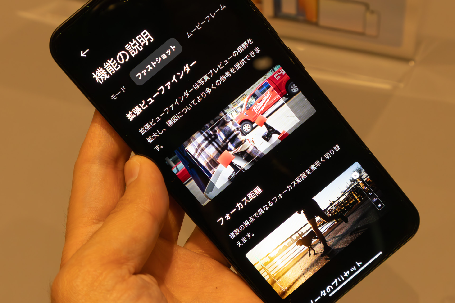 「拡張ビューファインダー」がその機能となる