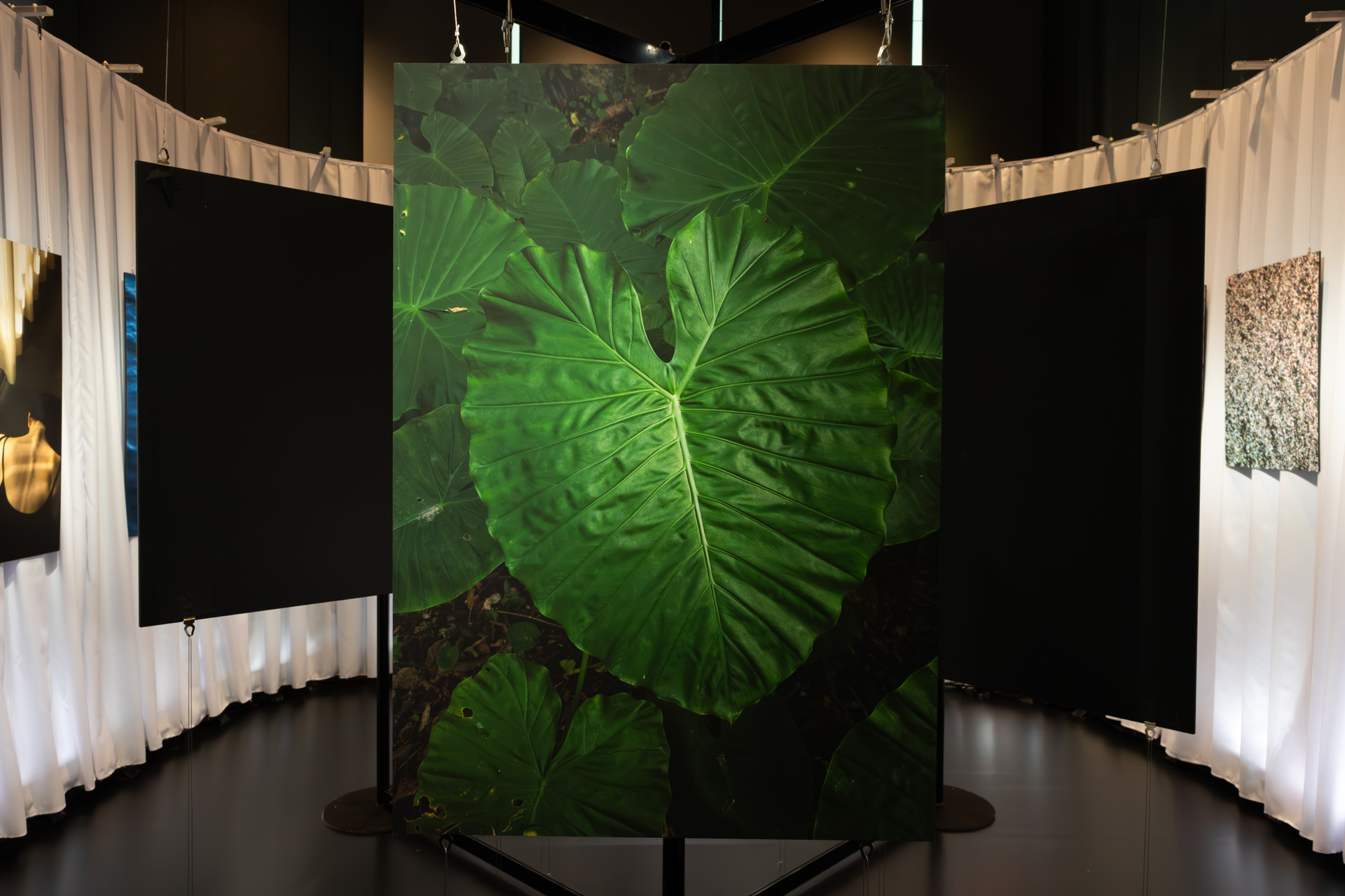 市川渚さんが沖縄の村で撮影したという1枚。特徴的な緑の色づくりが気に入ったそう