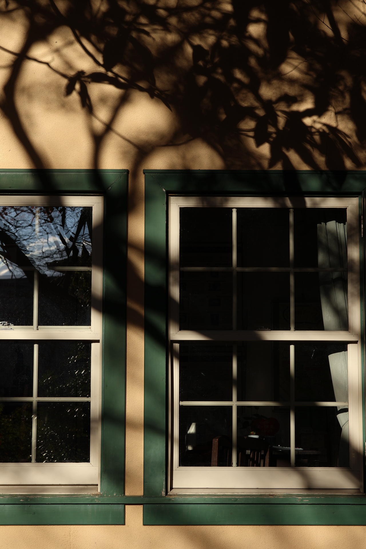 キヤノン EOS R10／SIGMA 56mm F1.4 DC DN｜Contemporary／56mm（89.6mm相当）／絞り優先AE（1/250秒、F8.0、−2.3EV）／ISO 100