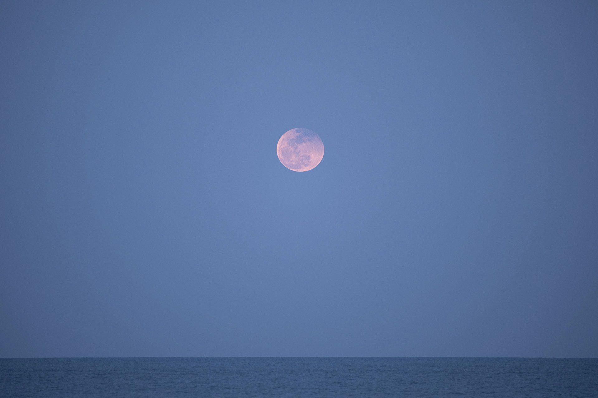 3月14日（金）に月出帯食というのがありました。月食中に月が出てくるってことなんですけど、今回は皆既中ではなく皆既月食の終わりの半影食の状態での月出です。まあ、月が出てくる時は赤いもんですので見てても気づかなかったかも。月の上が暗くなってるでしょ？これが地球の影であります。水平線の先の方まで晴れていないと月の出も見られないので、晴れててラッキーな日でしたよ