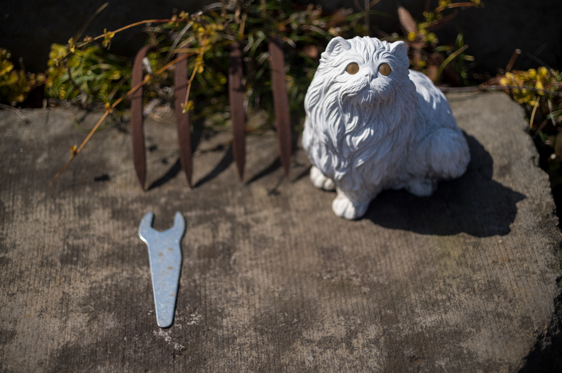 画面の平坦性も今ひとつみたいで、絞りを開いた状況では周辺がっ！いいんです。どこで像が落ち着くのか実験してみるのもありかと。<br><span class="fnt-85">ライカM11-P／LIGHT LENS LAB M 50mm f/2 SPII／50mm／マニュアル露出（1/2,000秒、F2.0）／ISO 64</span>