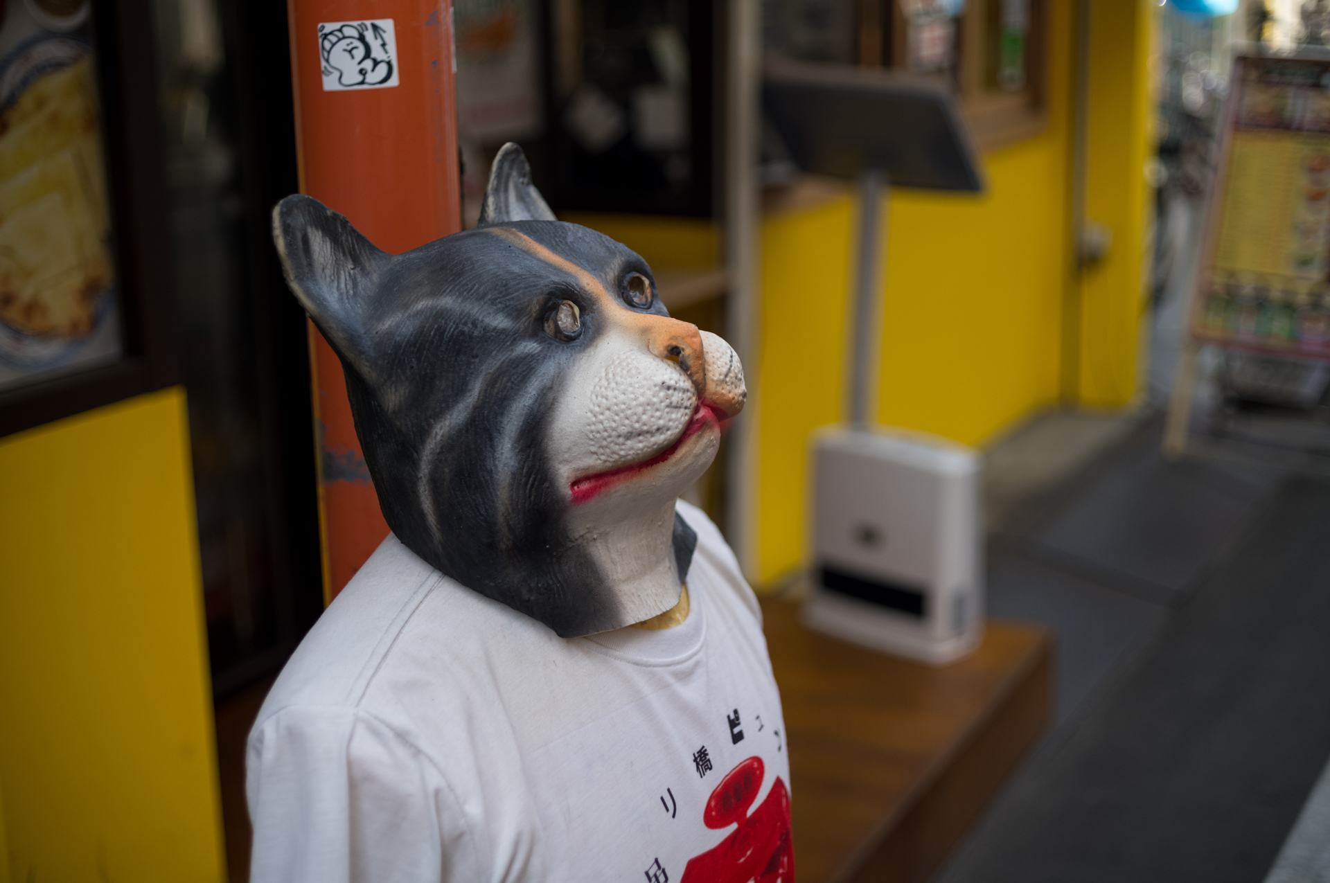 日陰の条件ですが、色再現に厚みがありますね。右上あたりの看板のボケがざわついてはいますが、今回の作例の中では軽微な方かもしれません。<br><span class="fnt-85">ライカM11-P／LIGHT LENS LAB M 50mm f/2 SPII／50mm／マニュアル露出（1/2,000秒、F2.0）／ISO 400</span>