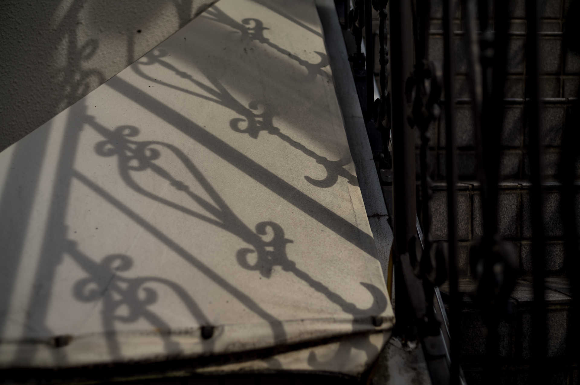 ココロを落ち着かせるためにあまりボケ味が気にならない被写体を選んでみました。そうです、被写体を選んでしまうレンズですから仕方ありません。<br><span class="fnt-85">ライカM11-P／LIGHT LENS LAB M 50mm f/2 SPII／50mm／マニュアル露出（1/2,500秒、F2.8）／ISO 64</span>