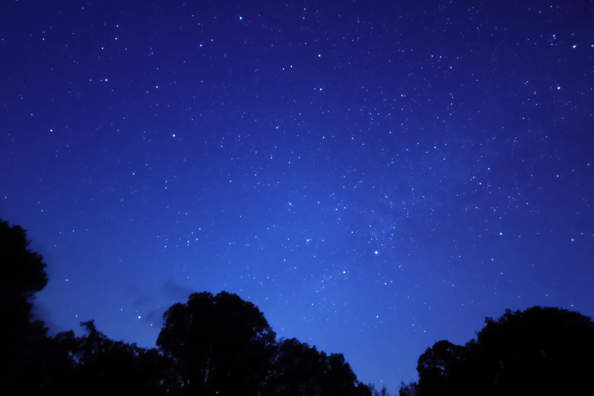 撮影サンプル（提供：キヤノンマーケティングジャパン）