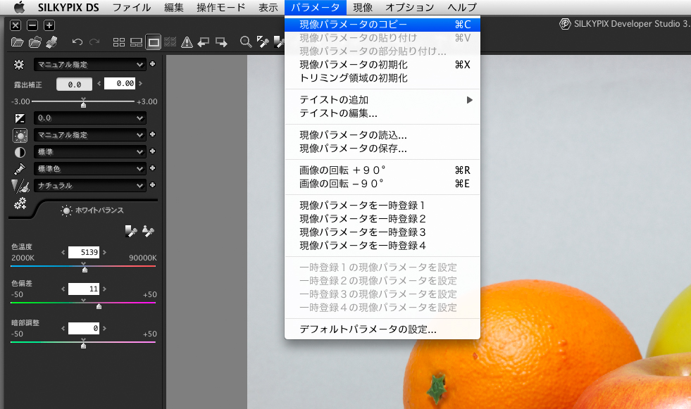 <b>調製が終わったら、パラメーターを保存。そして本番用の画像に、保存したパラメーターを貼り付ける</b>