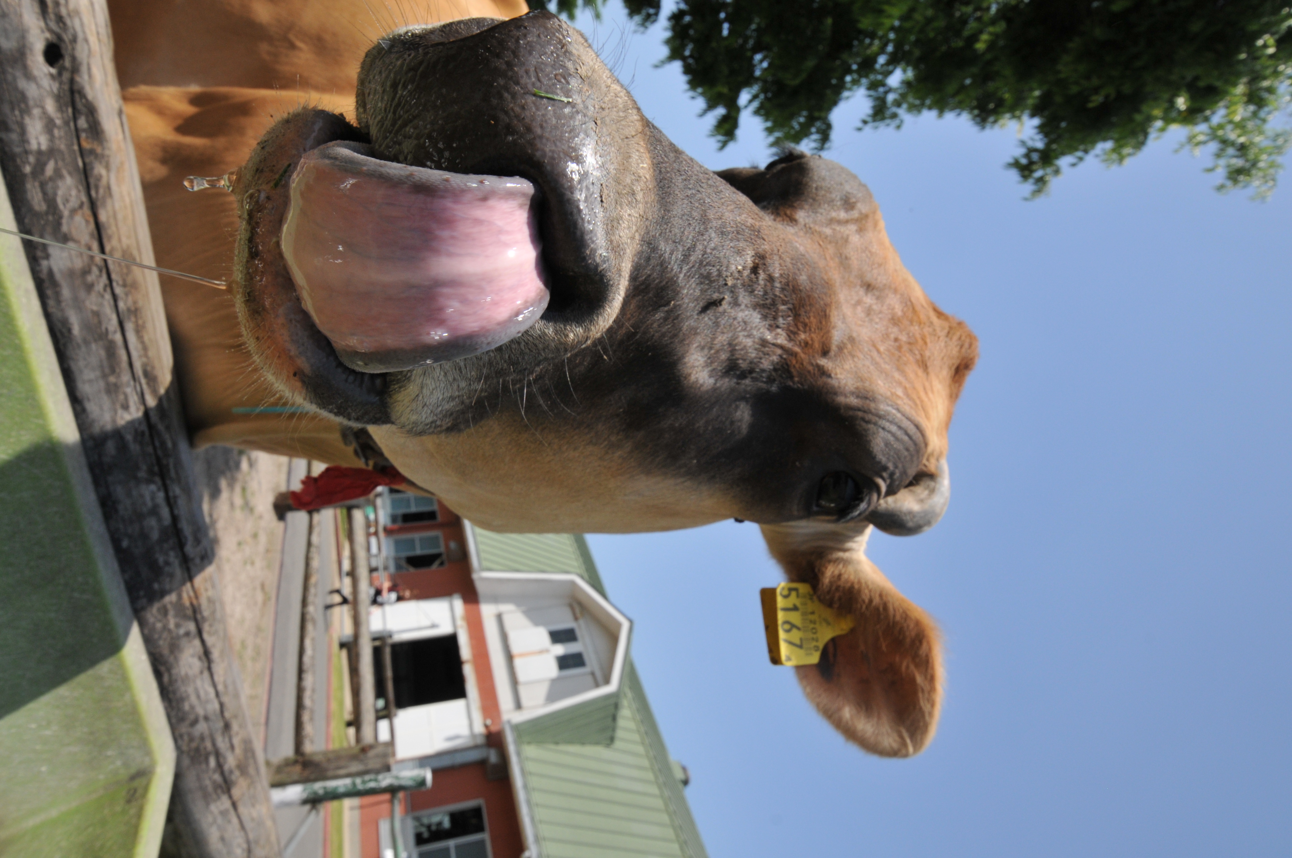 <b>D300 / AF-S DX NIKKOR 10-24mm F3.5-4.5 G ED / 約4.7MB / 2,848×4,288 / 1/500秒 / F11 / -0.3EV / ISO400 / WB:晴天 / 15mm</b>