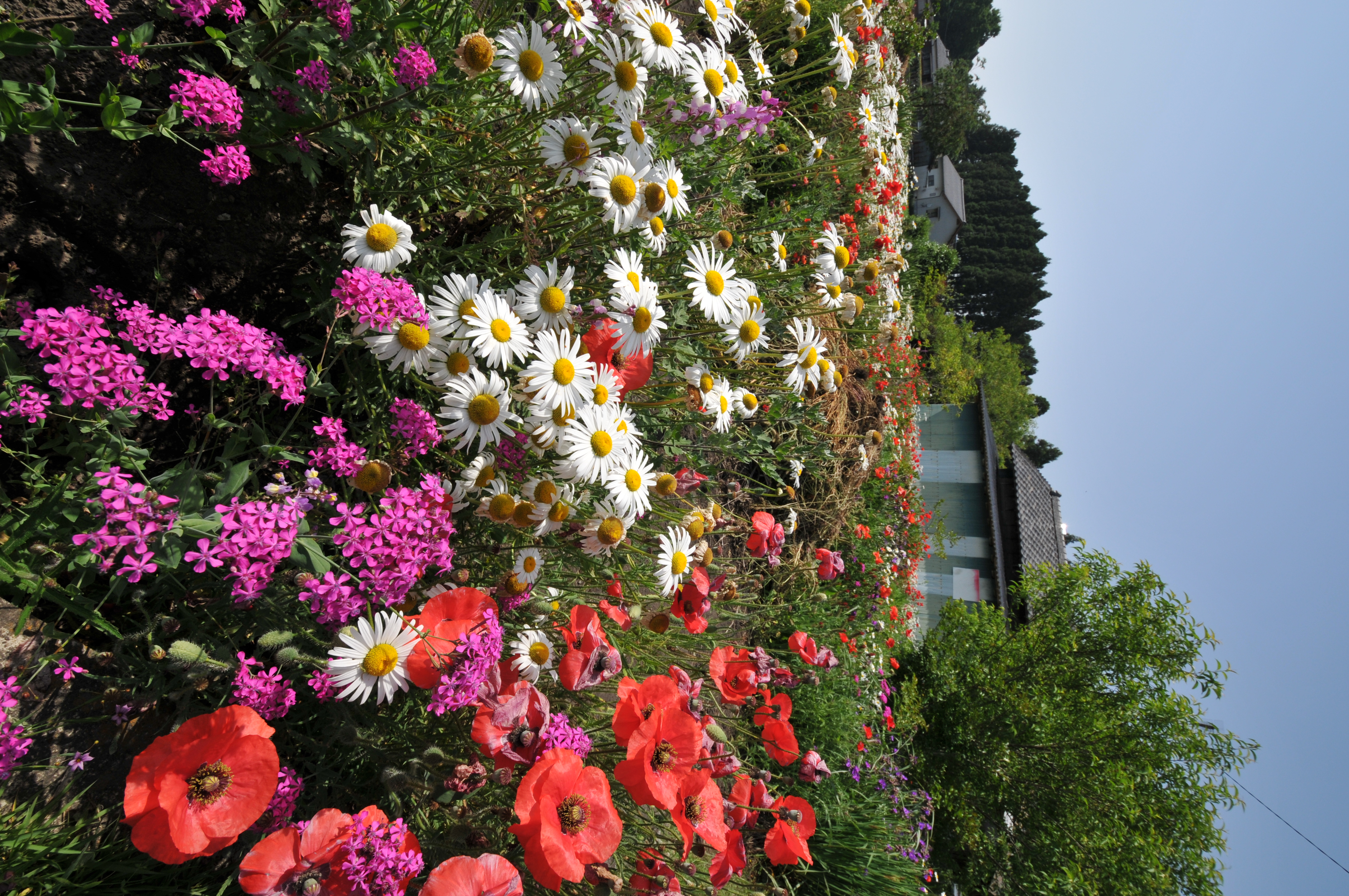 <b>D300 / AF-S DX NIKKOR 10-24mm F3.5-4.5 G ED / 約6.4MB / 2,848×4,288 / 1/400秒 / F10 / 0EV / ISO200 / WB:晴天 / 10mm</b>