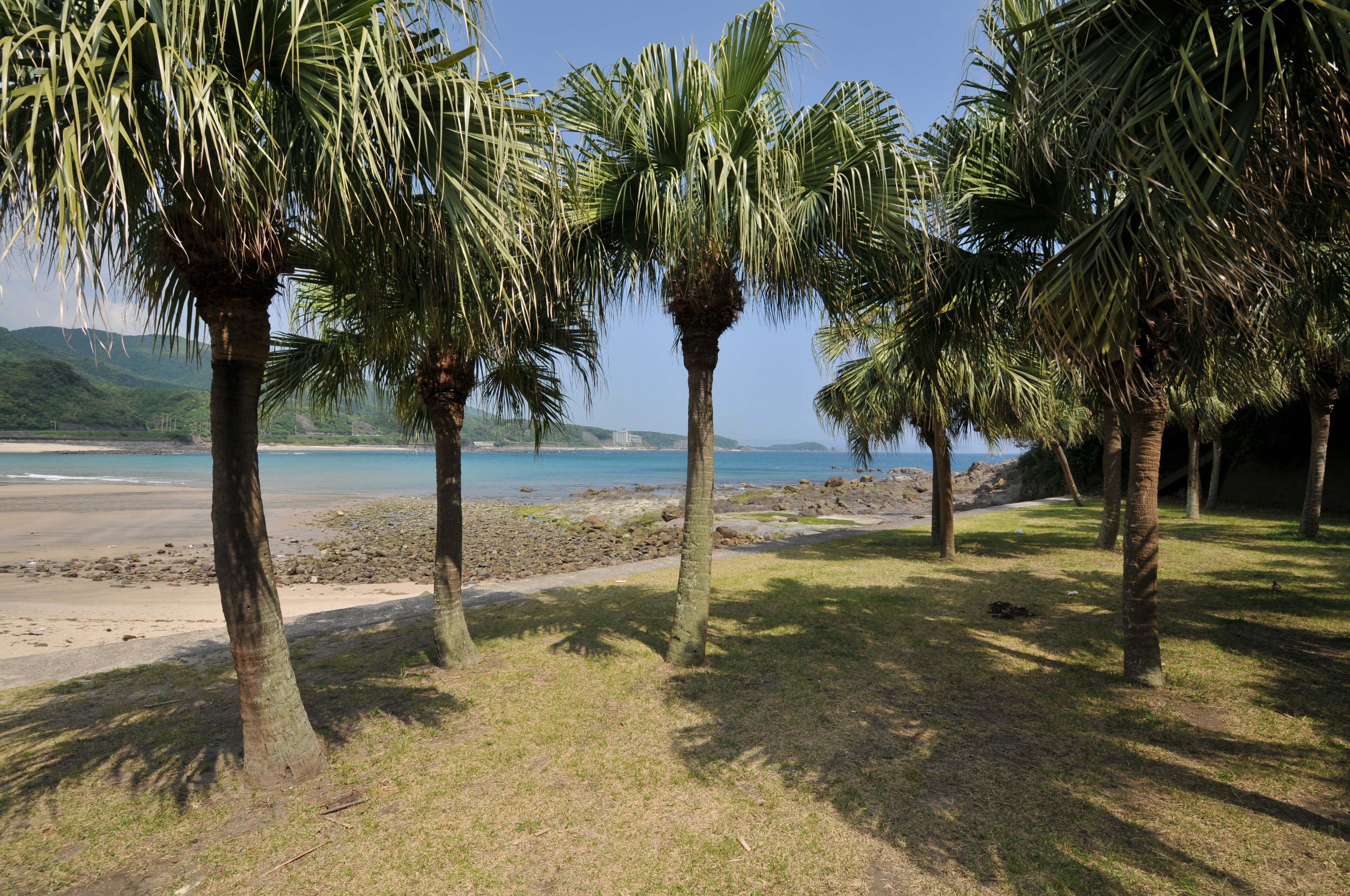 <b>D300 / AF-S DX NIKKOR 10-24mm F3.5-4.5 G ED / 約6.4MB / 4,288×2,848 / 1/400秒 / F8 / 0EV / ISO200 / WB:晴天 / 10mm</b>