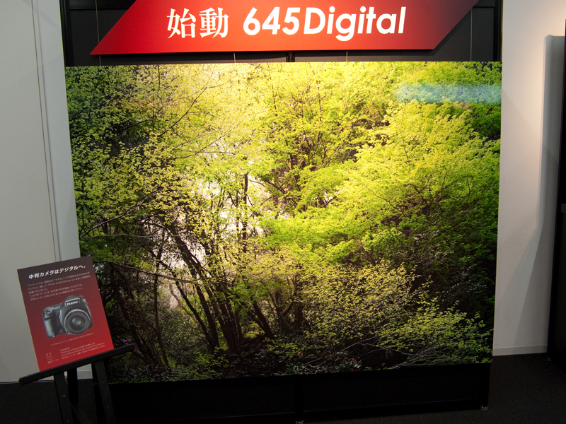 <b>中判デジタルカメラ「645 Digital」の大判プリントも展示</b>