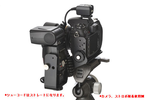 <b>背面（実際のシンクロコードはストレートタイプになる）</b>