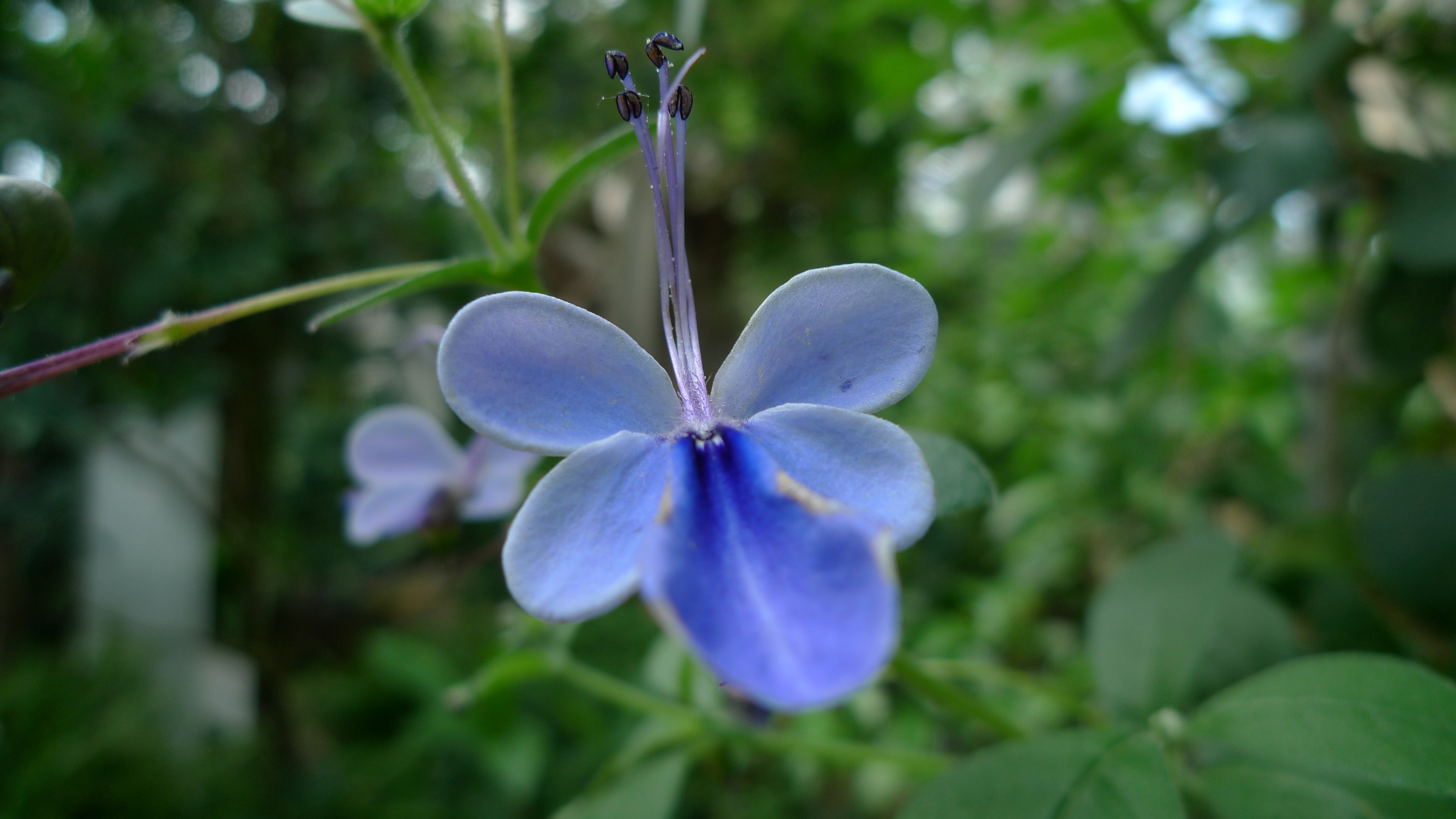 <b>DMC-LX3 / 約3.0MB / 3,968×2,232 / 1/200秒 / F2.8 / 0EV / ISO80 / WB:晴天 / 5.1mm</b>