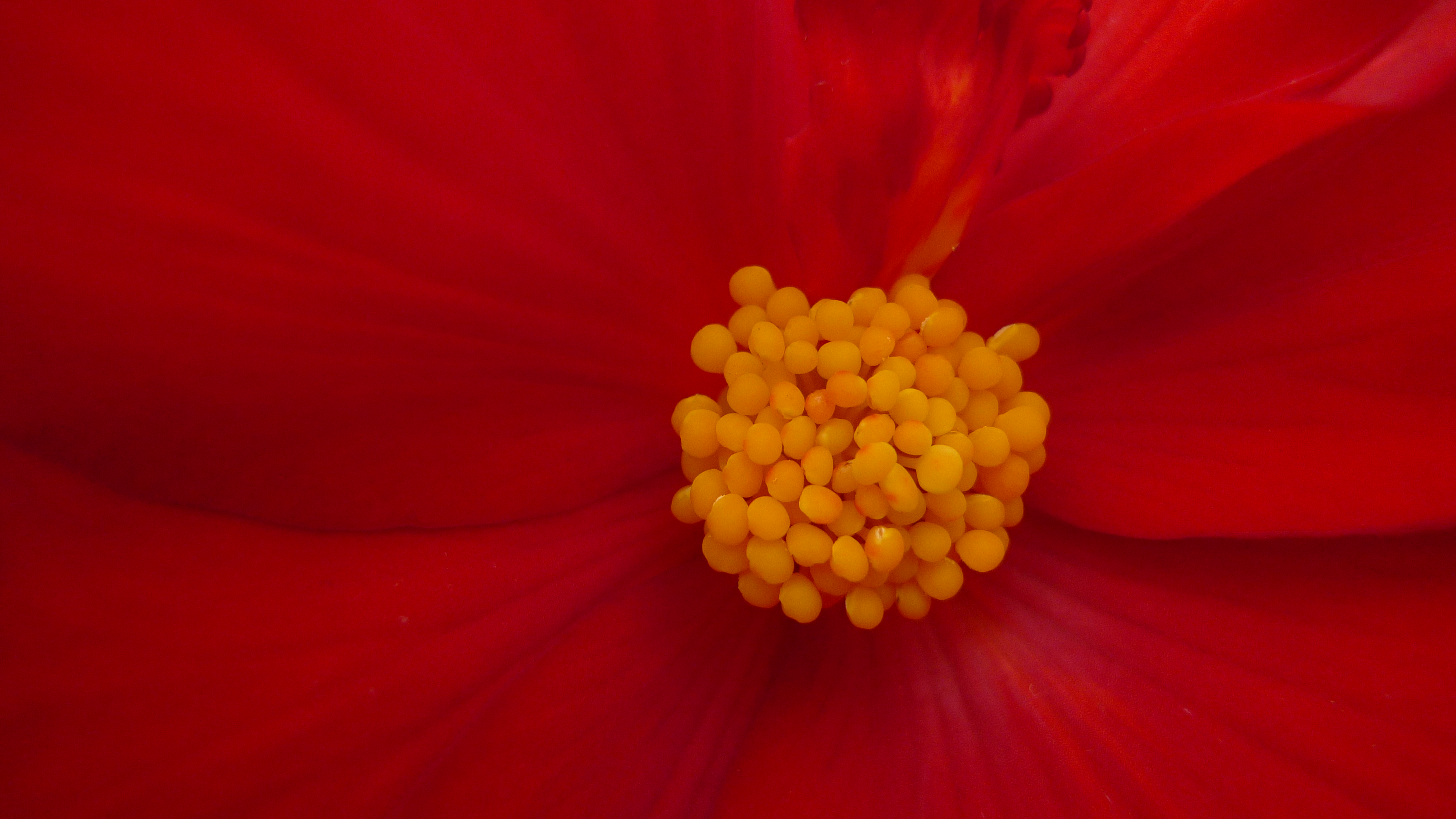 <b>DMC-LX3 / 約3.8MB / 3,968×2,232 / 1/250秒 / F2 / -0.3EV / ISO160 / WB:曇り / 5.1mm</b>