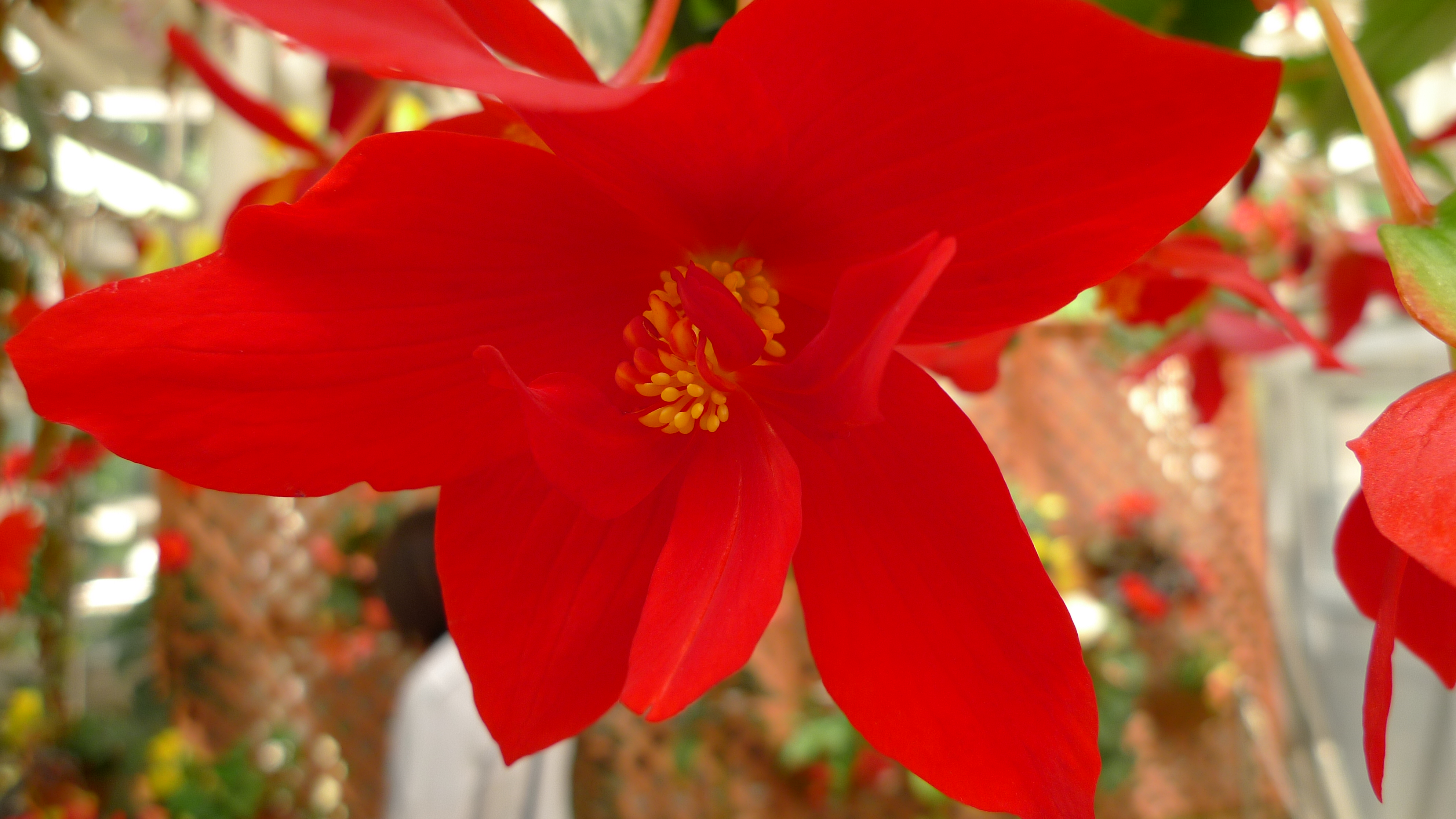 <b>DMC-LX3 / 約3.2MB / 3,968×2,232 / 1/100秒 / F2.5 / 0EV / ISO80 / WB:曇り / 5.1mm</b>