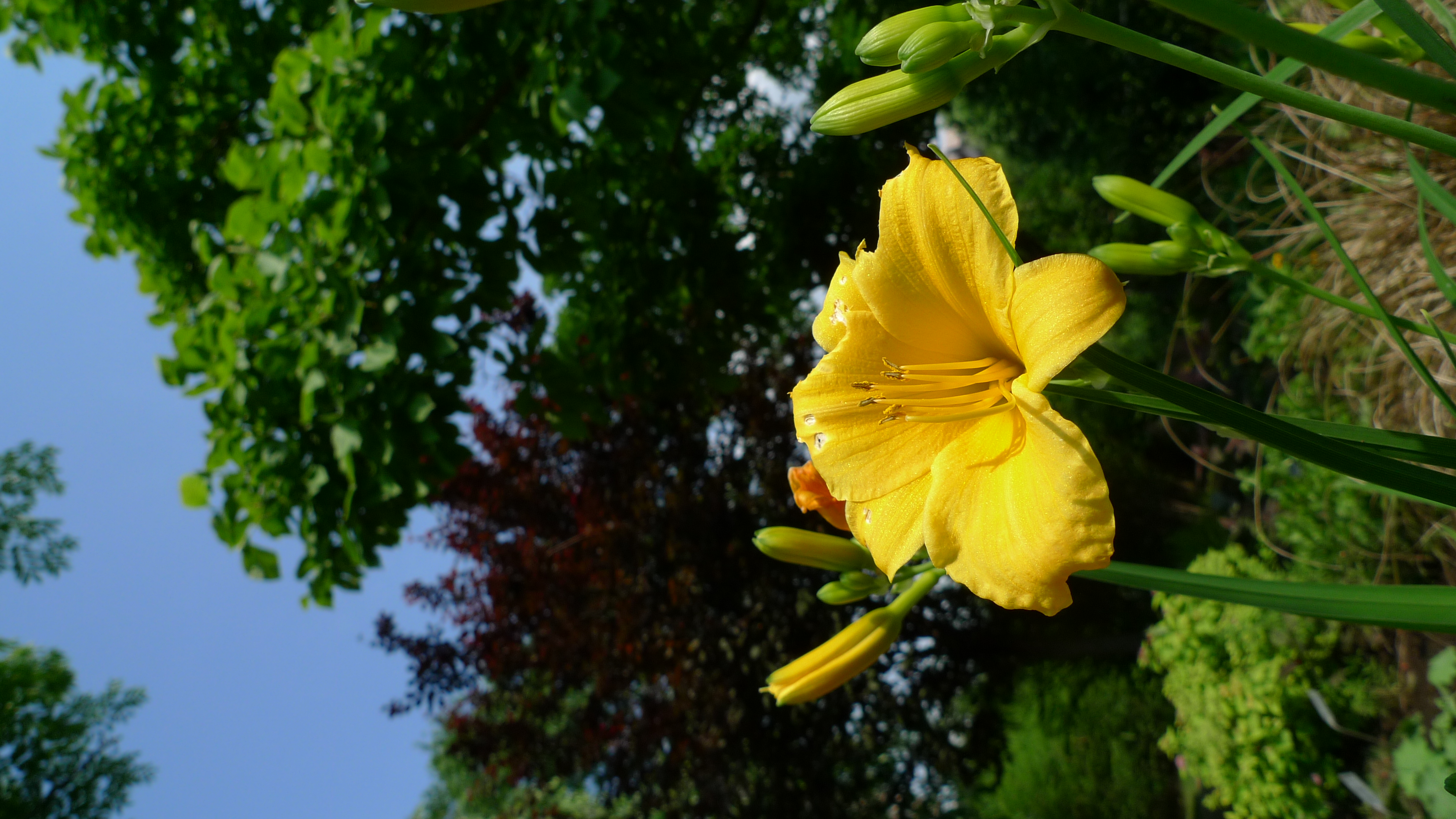 <b>DMC-LX3 / 約3.3MB / 2232x3968 / 1/800秒 / F4 / -0.3EV / ISO80 / WB:晴天 / 5.1mm</b>