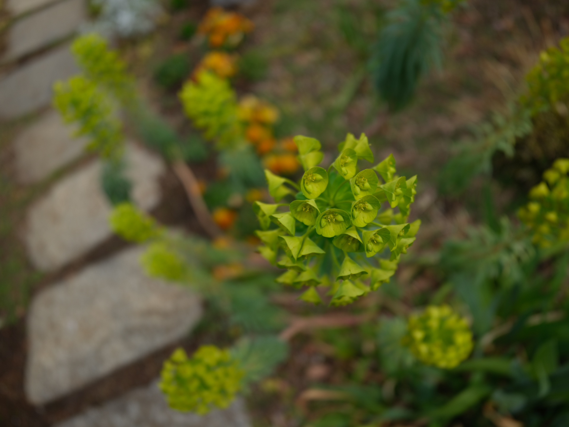 GFX100RF／35mm（28mm相当）／絞り優先AE（1/950秒、F4.0、－0.7EV）／ISO 160