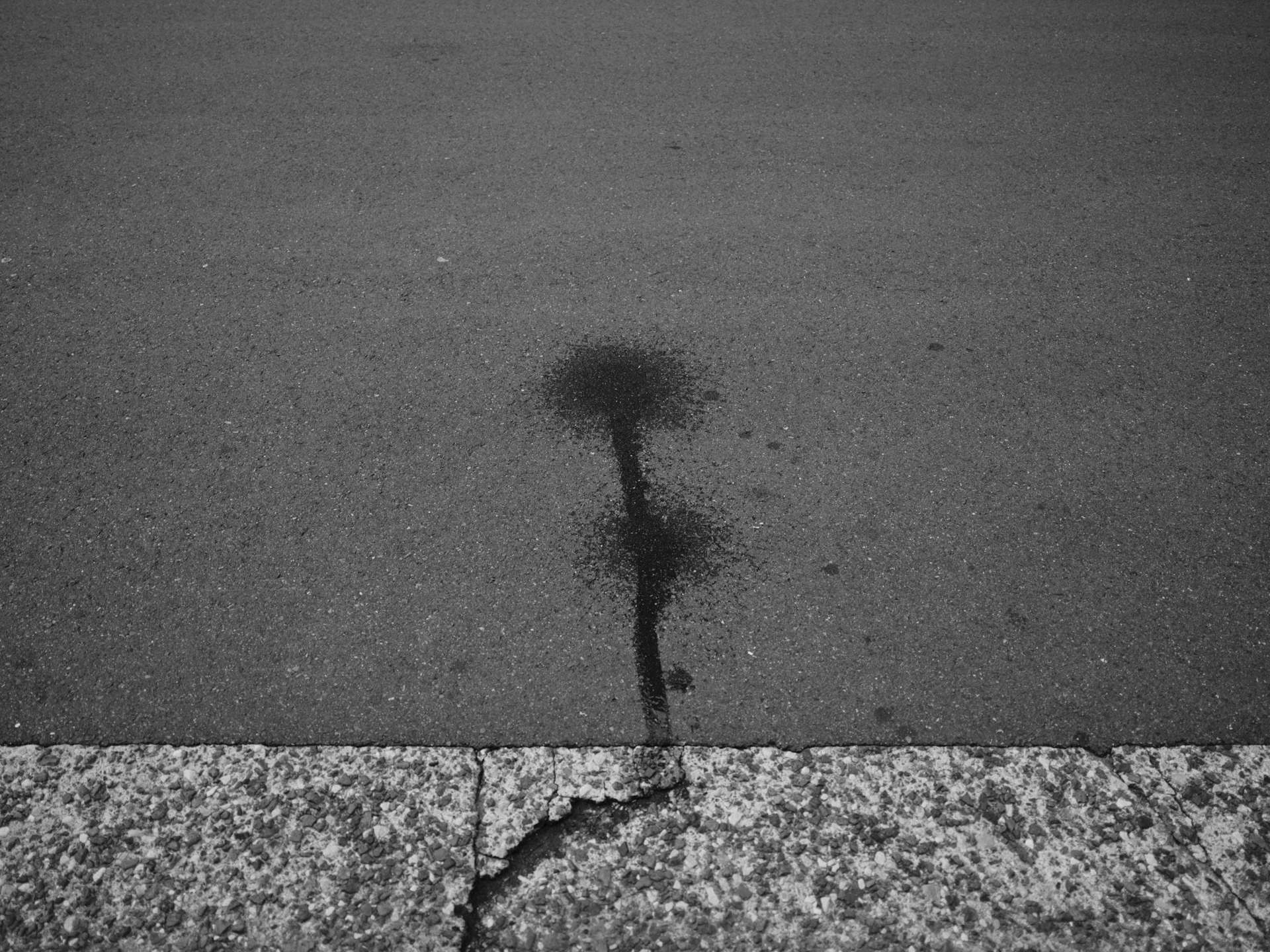 GFX100RF／35mm（28mm相当）／シャッター優先AE（1/125秒、F4.0）／ISO 160