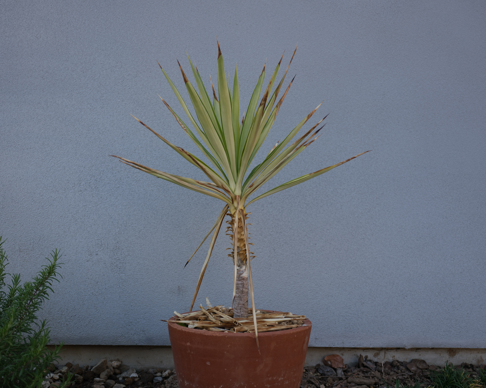 GFX100RF／35mm（28mm相当）／シャッター優先AE（1/125秒、F4.0）／ISO 100