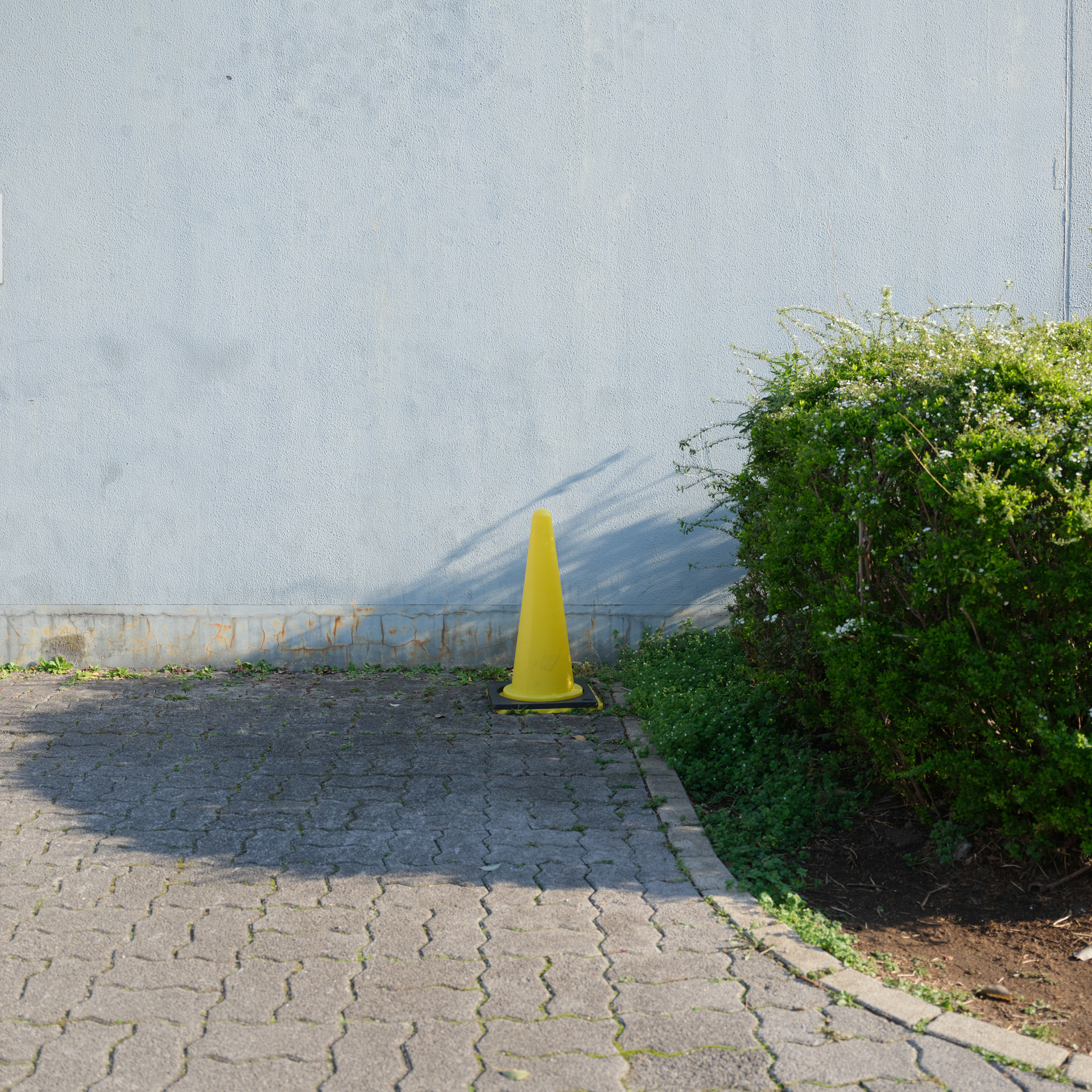 GFX100RF／35mm（28mm相当）／シャッター優先AE（1/200秒、F5.0、＋0.7EV）／ISO 160