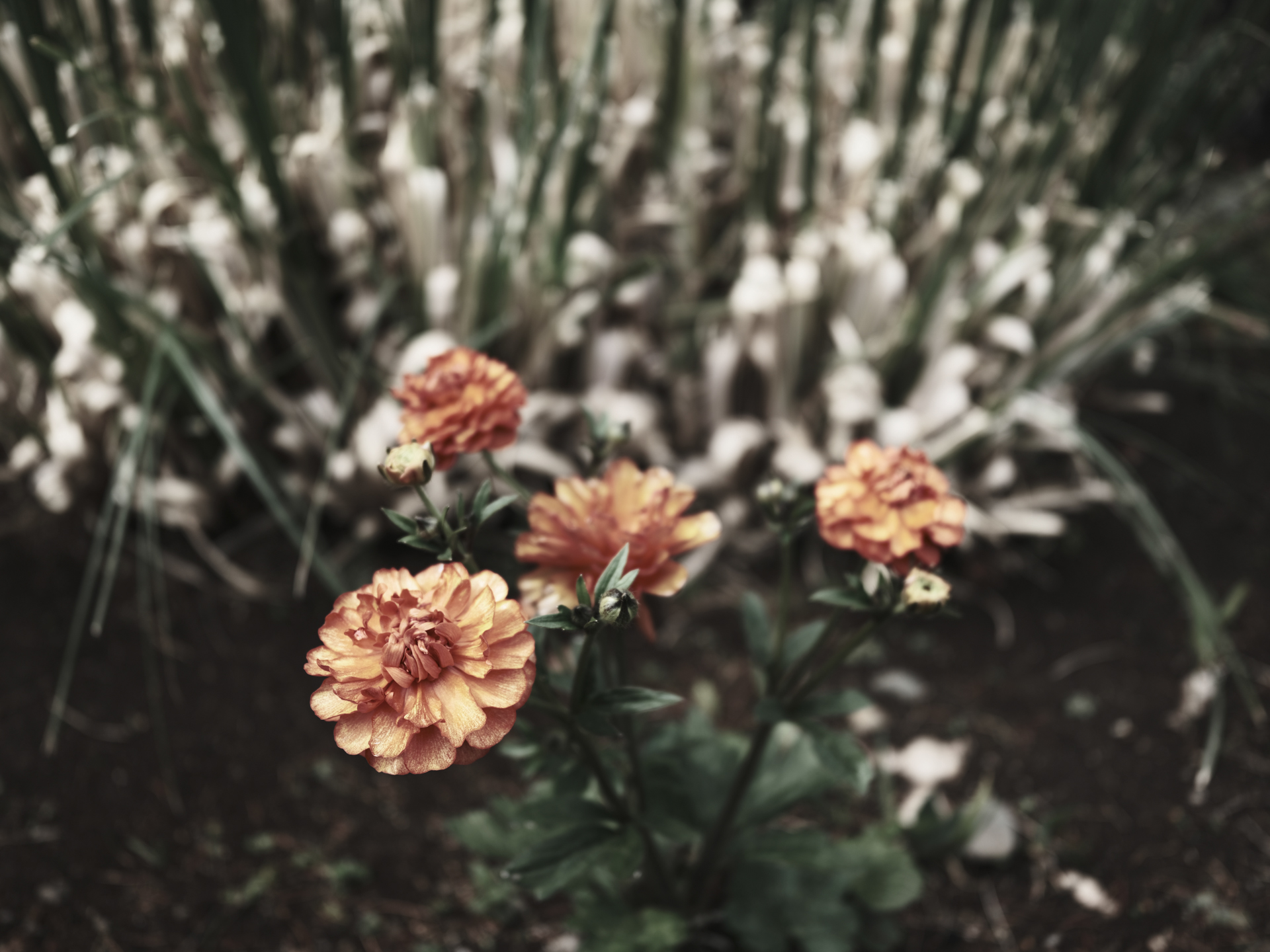 GFX100RF／35mm（28mm相当）／絞り優先AE（1/400秒、F4.0、－0.3EV）／ISO 160