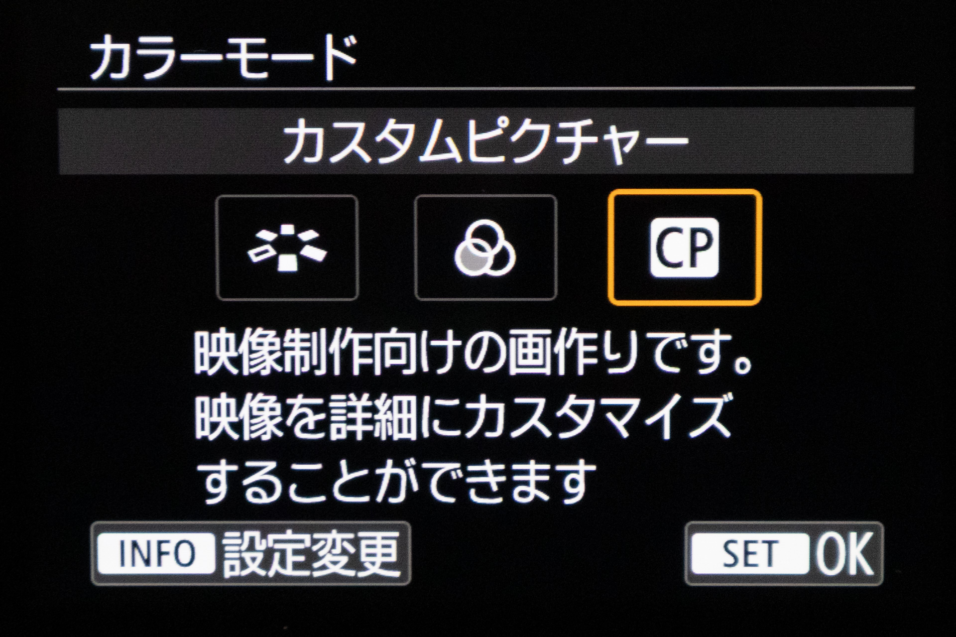 Custom Pictureの説明。左端はPicture Style