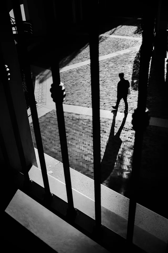 サンプル画像（焦点工房提供。以下同）