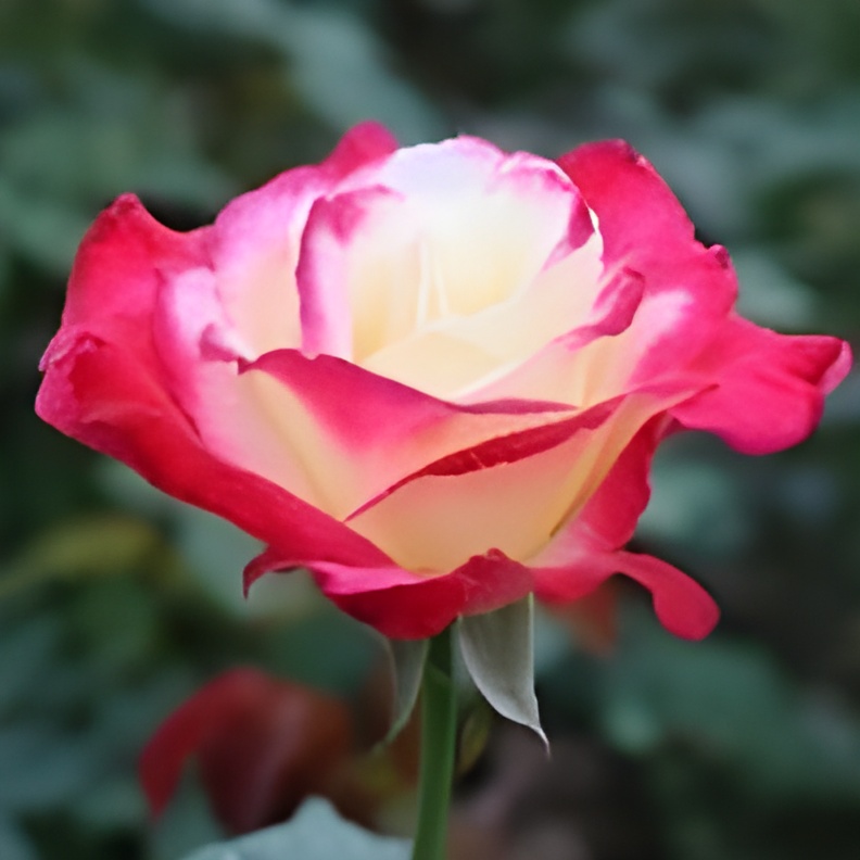 ダブル・デライト