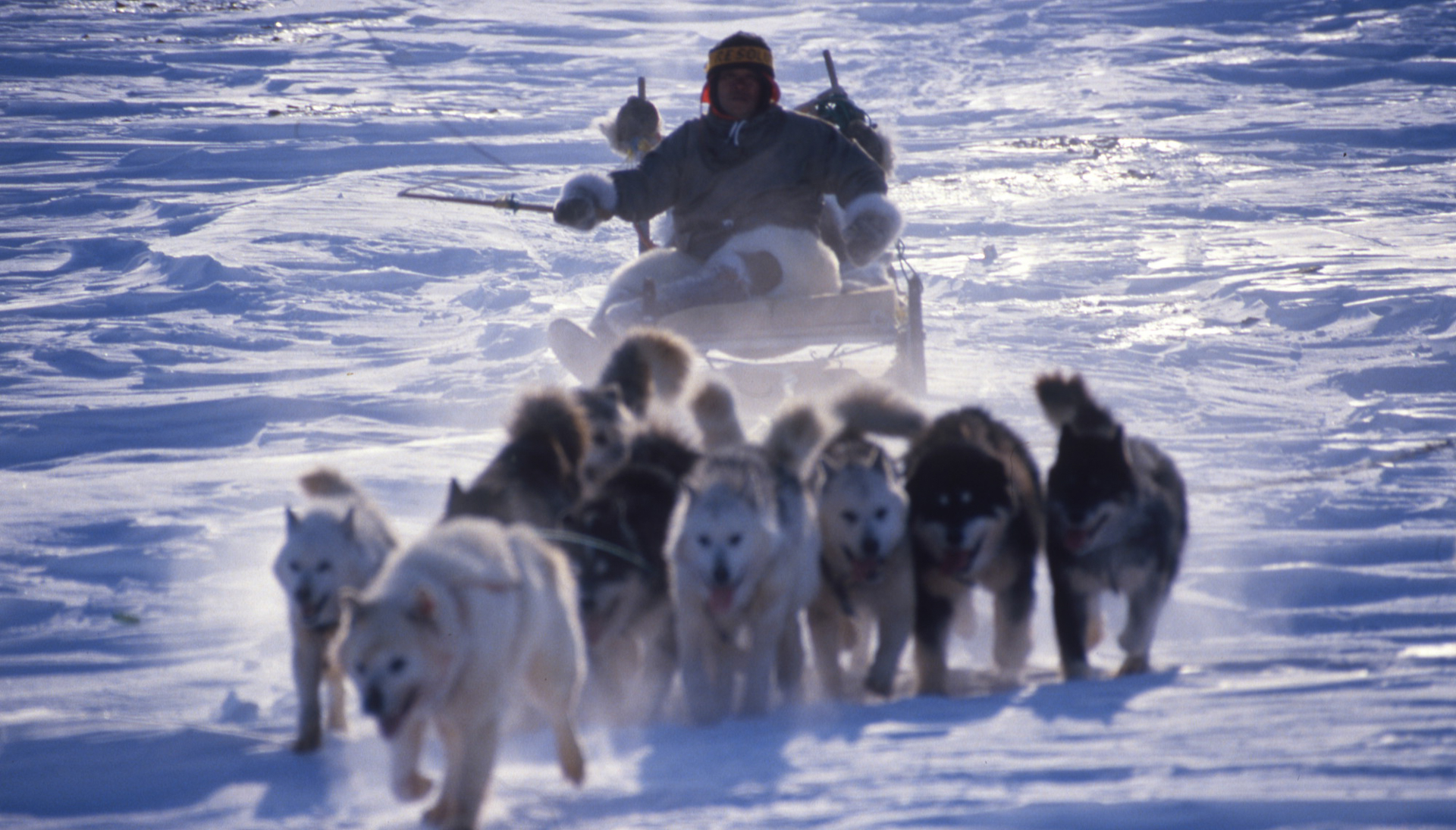 レゾリュートにて