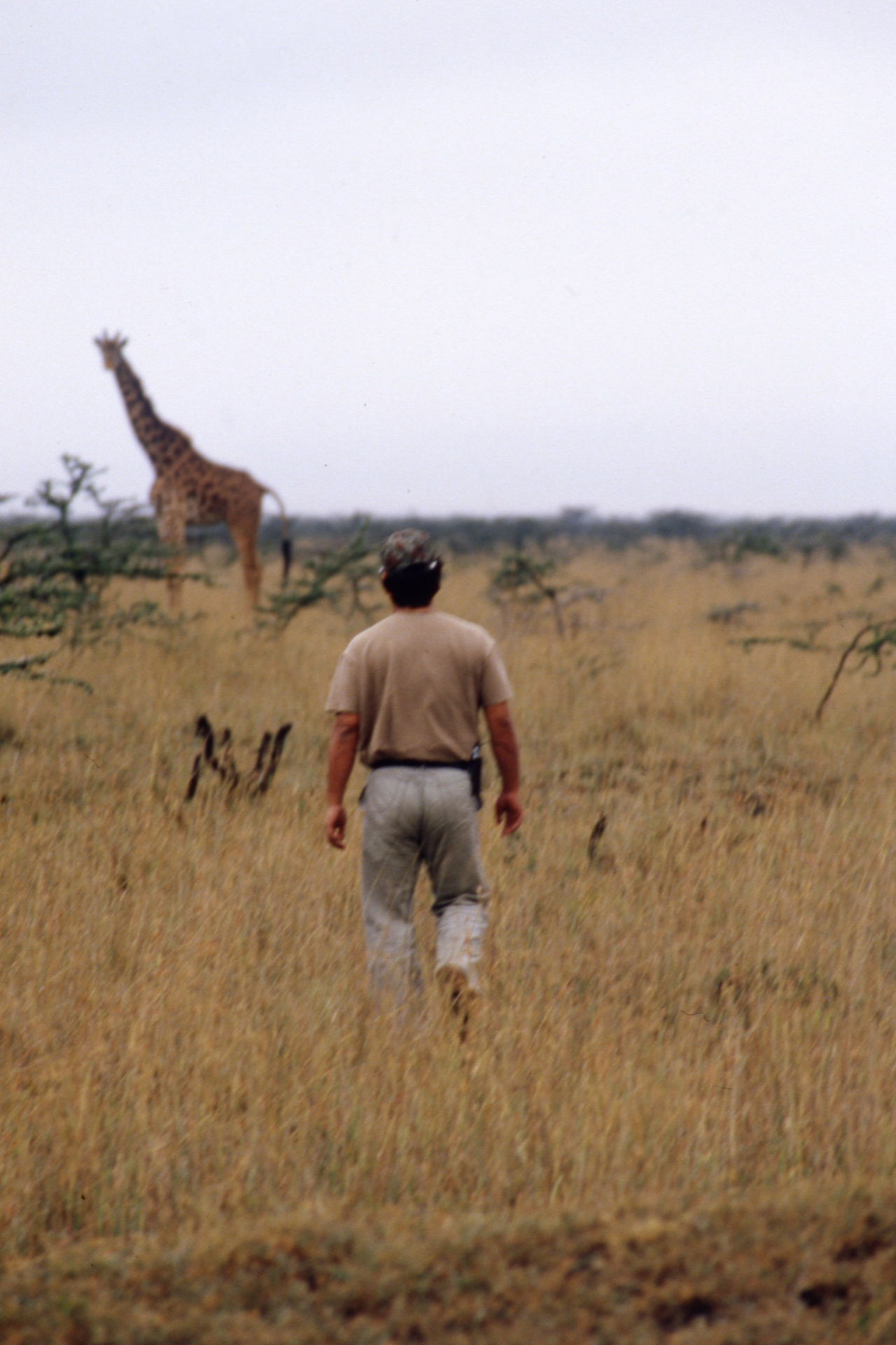 声をかけながらキリンに向かう西田さん