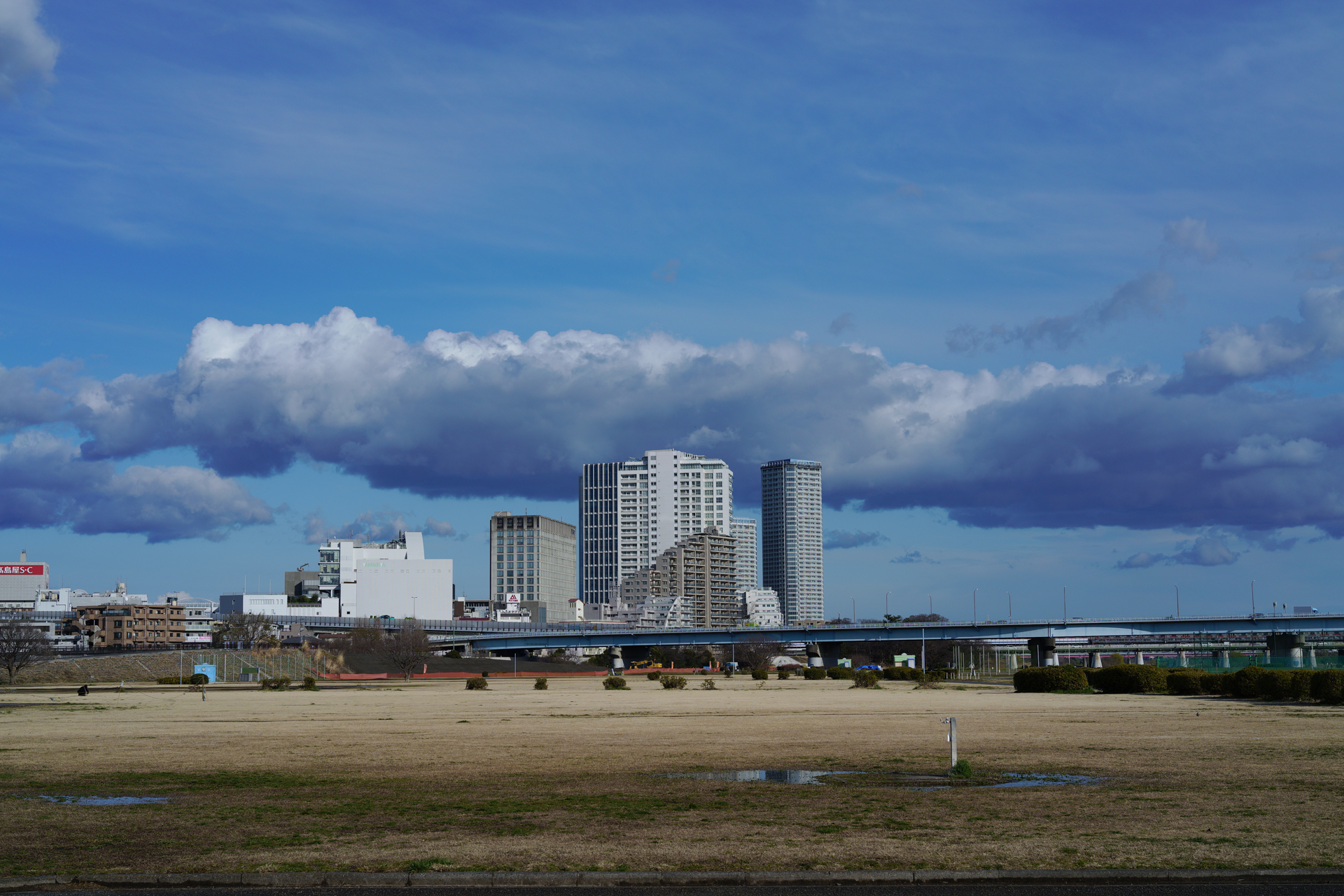 Sigma fp／SIGMA 50mm F2 DG DN | Contemporary／50mm／絞り優先露出（1/500秒、F8.0）／ISO 100