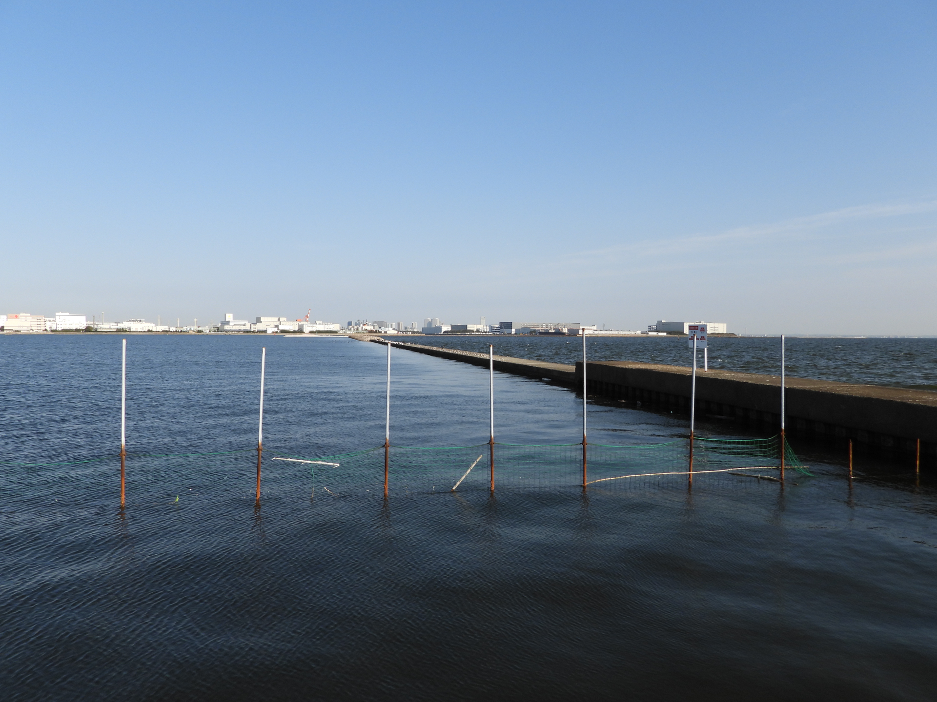 COOLPIX P1100／24mm相当／絞り優先AE（1/2,000秒、F2.8、－0.3EV）／ISO 100