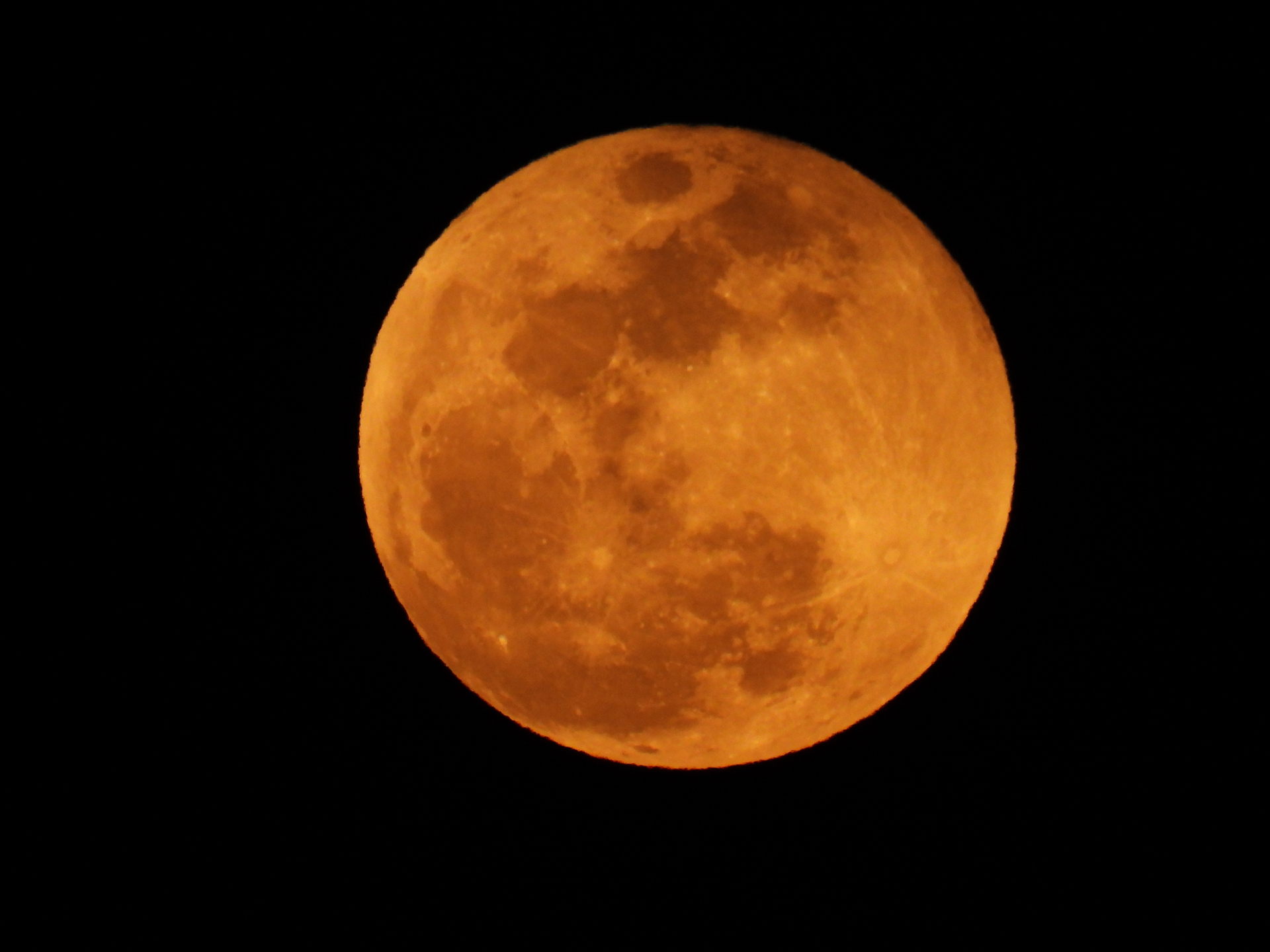 COOLPIX P1100／2,000mm相当／月モード（1/250秒、F8.0）／ISO 400