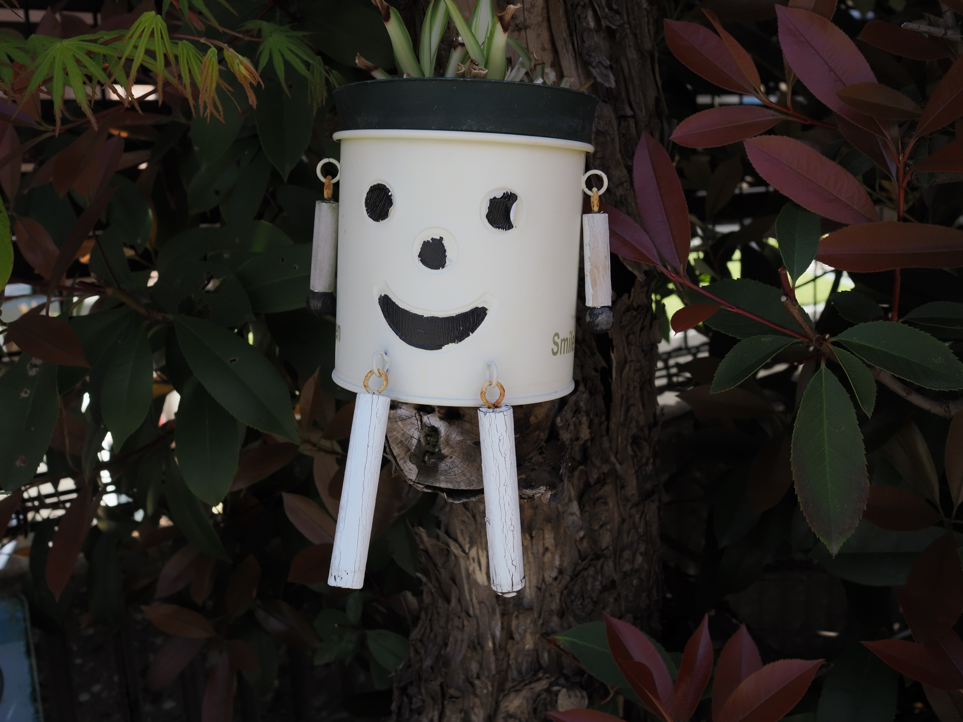 歩いていたら、見つめられたような気がしたので近づいたら、吊り下げられた植木でした。もうノールックで適当に撮影したら、ちゃんとフォーカスも合ってました。<br><span class="fnt-85">OM SYSTEM OM-3／M.ZUIKO DIGITAL 17mm F1.8 lI／17mm（34mm相当）／プログラムAE（1/400秒、F6.3、−0.7EV）／ISO 400</span>