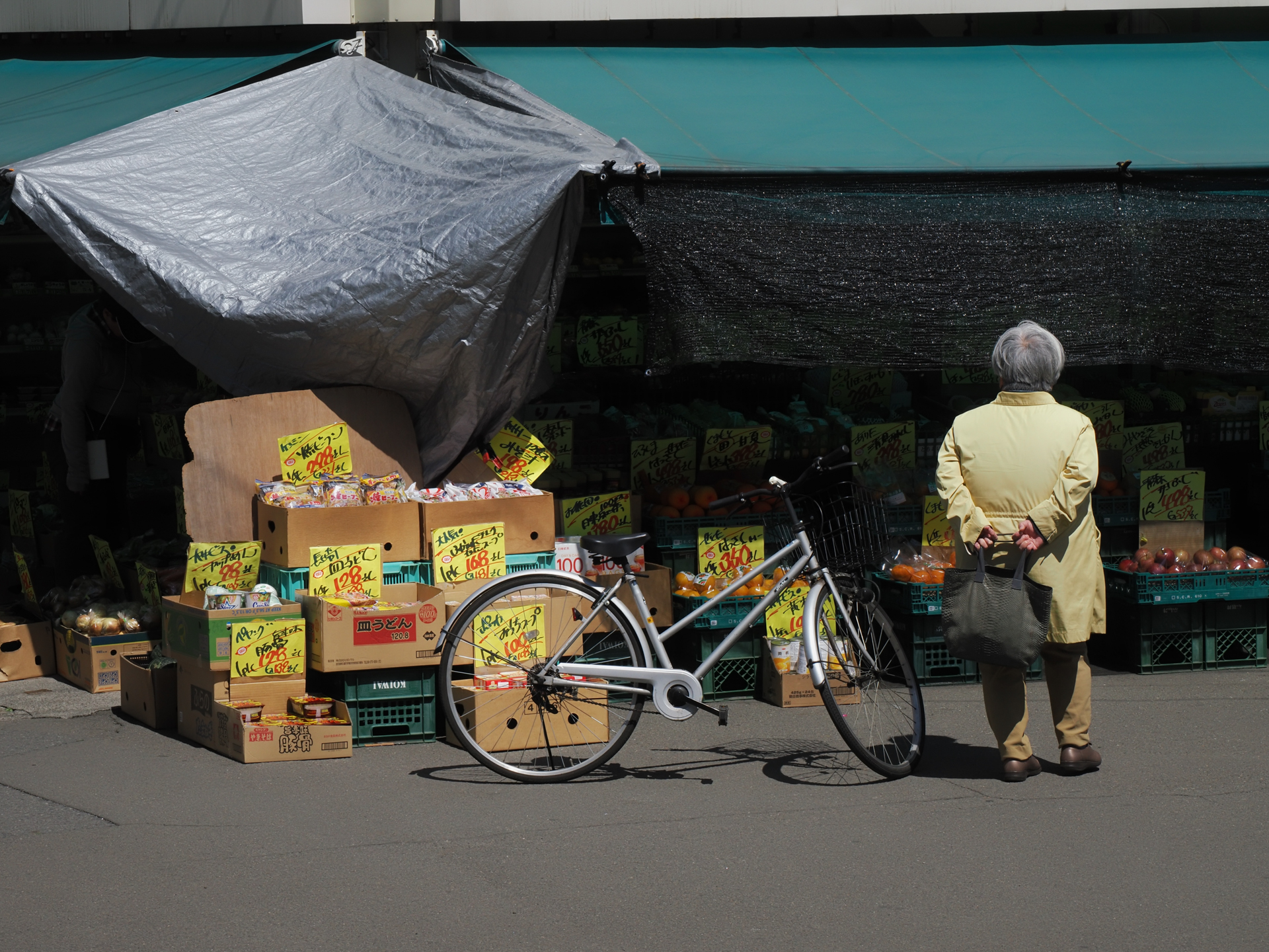 OM SYSTEMの超絶名玉はこのM.ZUIKO DIGITAL ED 12-100mm F4.0 IS PROだと信じています。OM-3にはグリップがないので、ホールディングは気に入らないのですが、実用上問題はありません。シンクロ手ブレ補正に期待できます。<br><span class="fnt-85">OM SYSTEM OM-3／M.ZUIKO DIGITAL ED 12-100mm F4.0 IS PRO／61mm（122mm相当）／プログラムAE（1/800秒、F11、−0.7EV）／ISO 400</span>