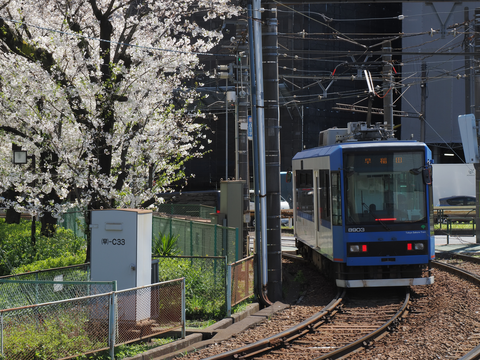 さくらトラムと本物のサクラを絡めようという意図です。あざといです。でも逆光でもこの階調とシャープネスが再現されますからマイクロフォーサーズは侮れないんですよね。<br><span class="fnt-85">OM SYSTEM OM-3／M.ZUIKO DIGITAL ED 12-100mm F4.0 IS PRO／47mm（94mm相当）／プログラムAE（1/100秒、F11、−0.7EV）／ISO 200</span>