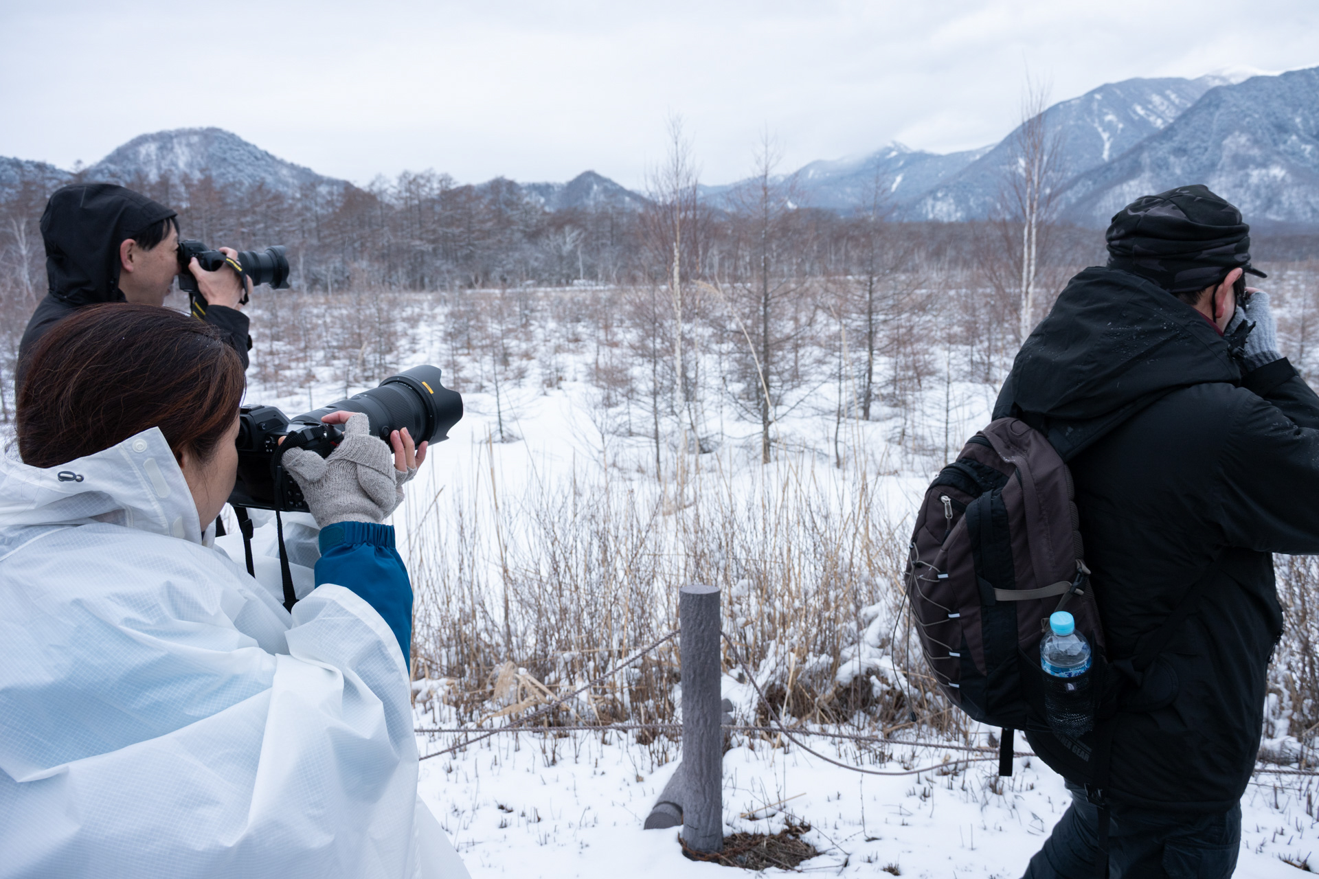 道路沿いからも山や木立を望める