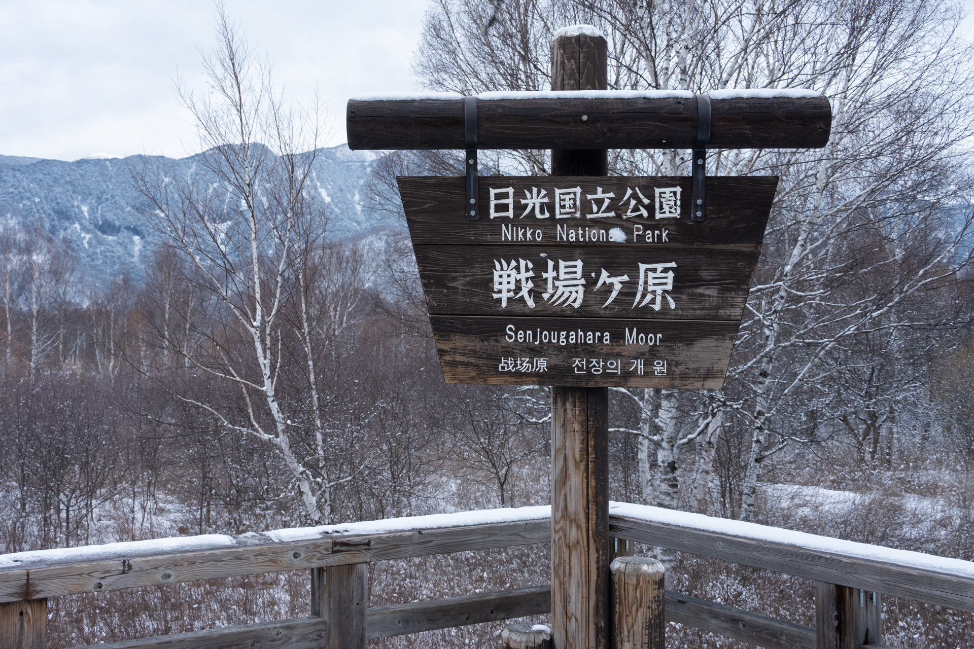戦場ヶ原の展望スペース。今晩の撮影地でもある